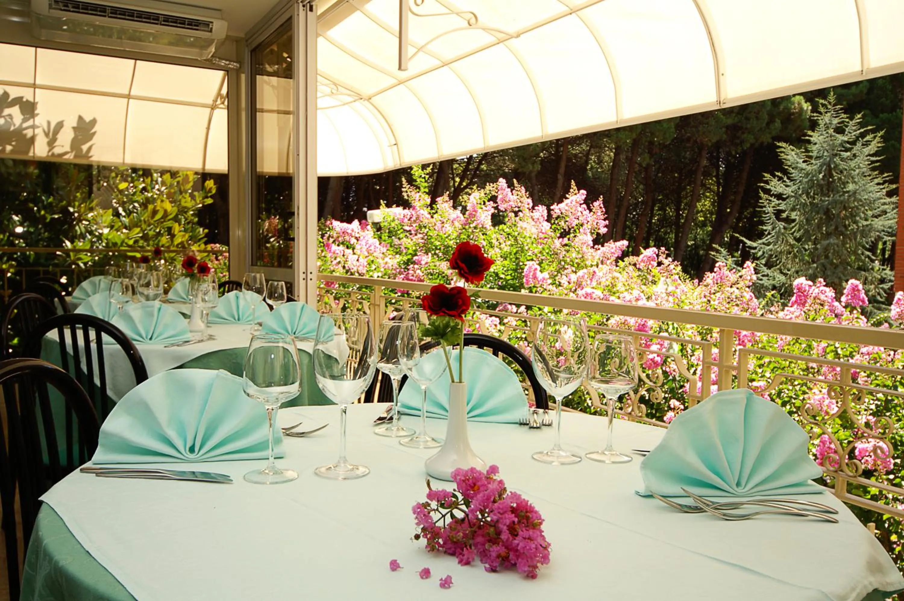 Restaurant/places to eat in Hotel Bamby