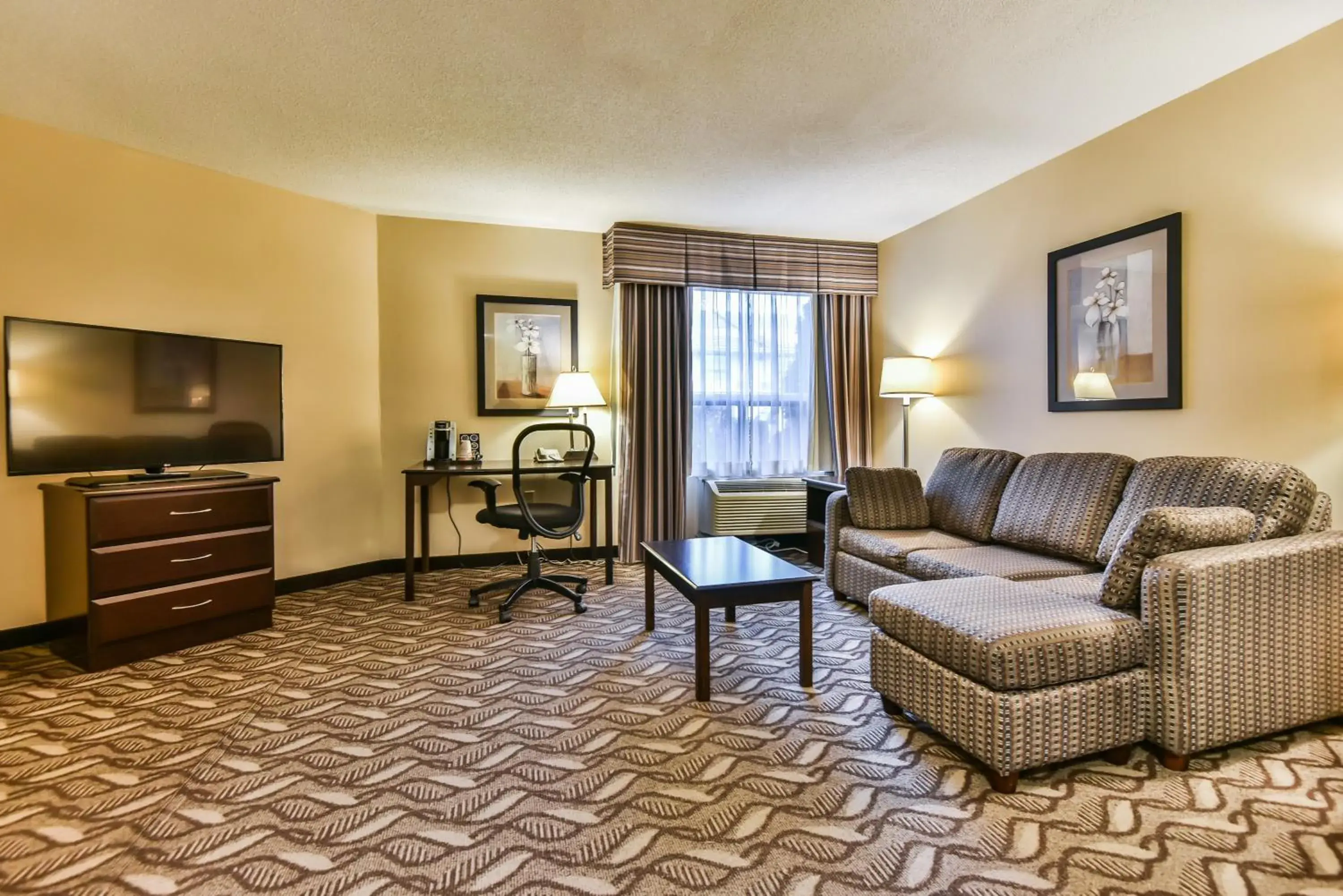 One-Bedroom Suite with Sofa bed - Upper Floor/Not Pet Friendly/Non-Smoking in Comfort Inn & Suites Ambassador Bridge One-Bedroom Suite with Sofa bed - Upper Floor/Not Pet Friendly/Non-Smoking in Comfort Inn & Suites Ambassador Bridge