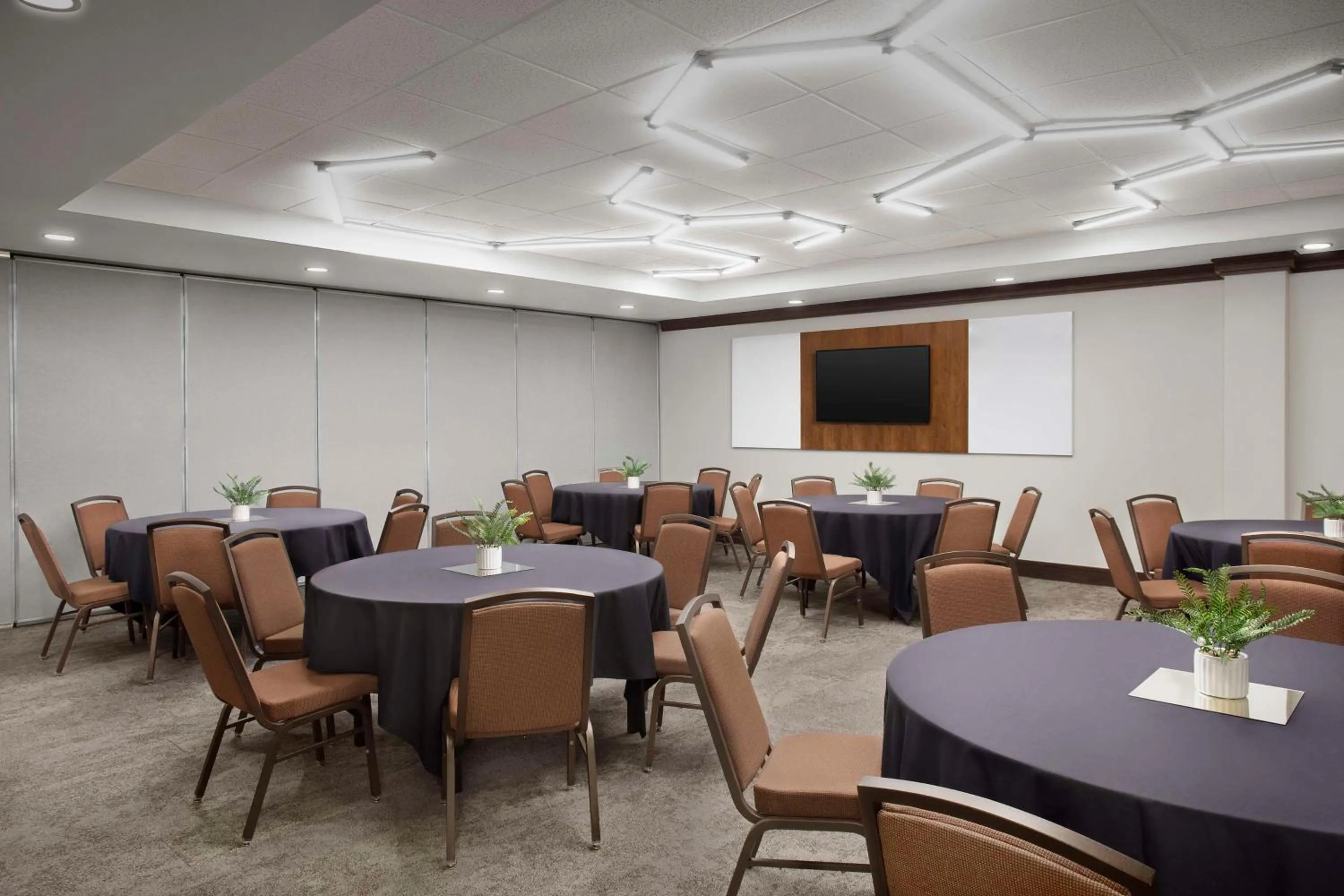 Meeting/conference room in Hilton Garden Inn Granbury