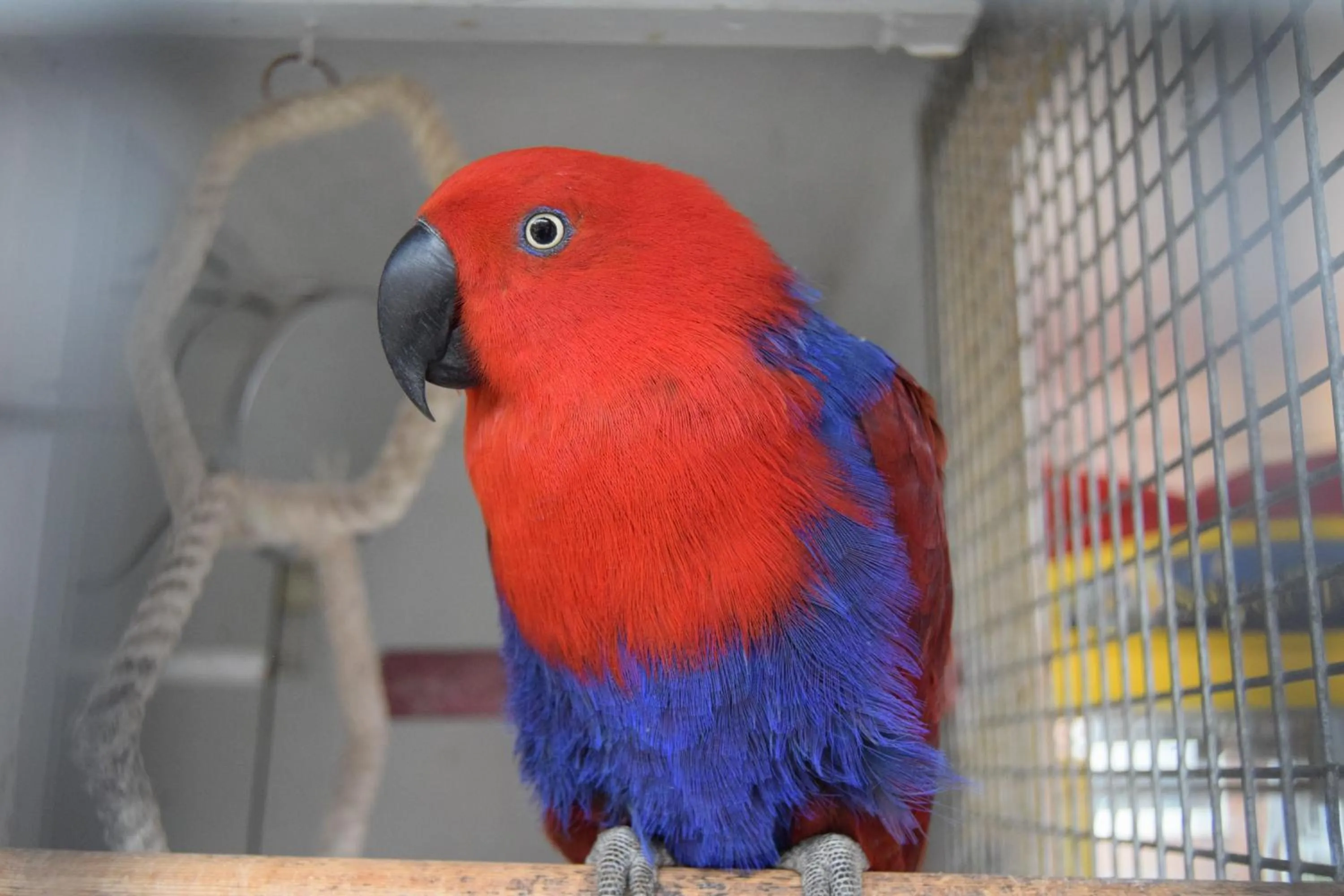 Seashells Beach Hotel