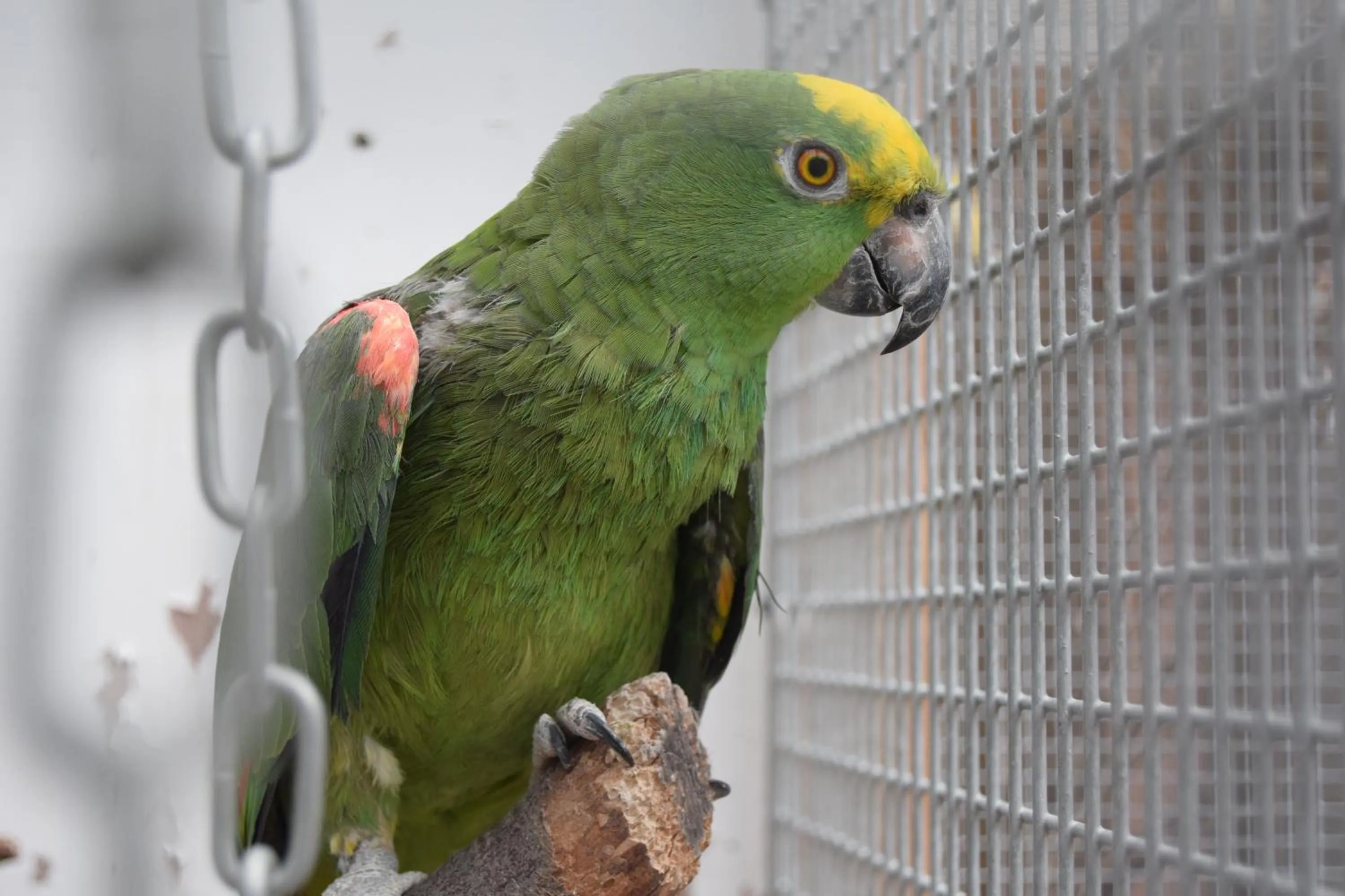 Seashells Beach Hotel