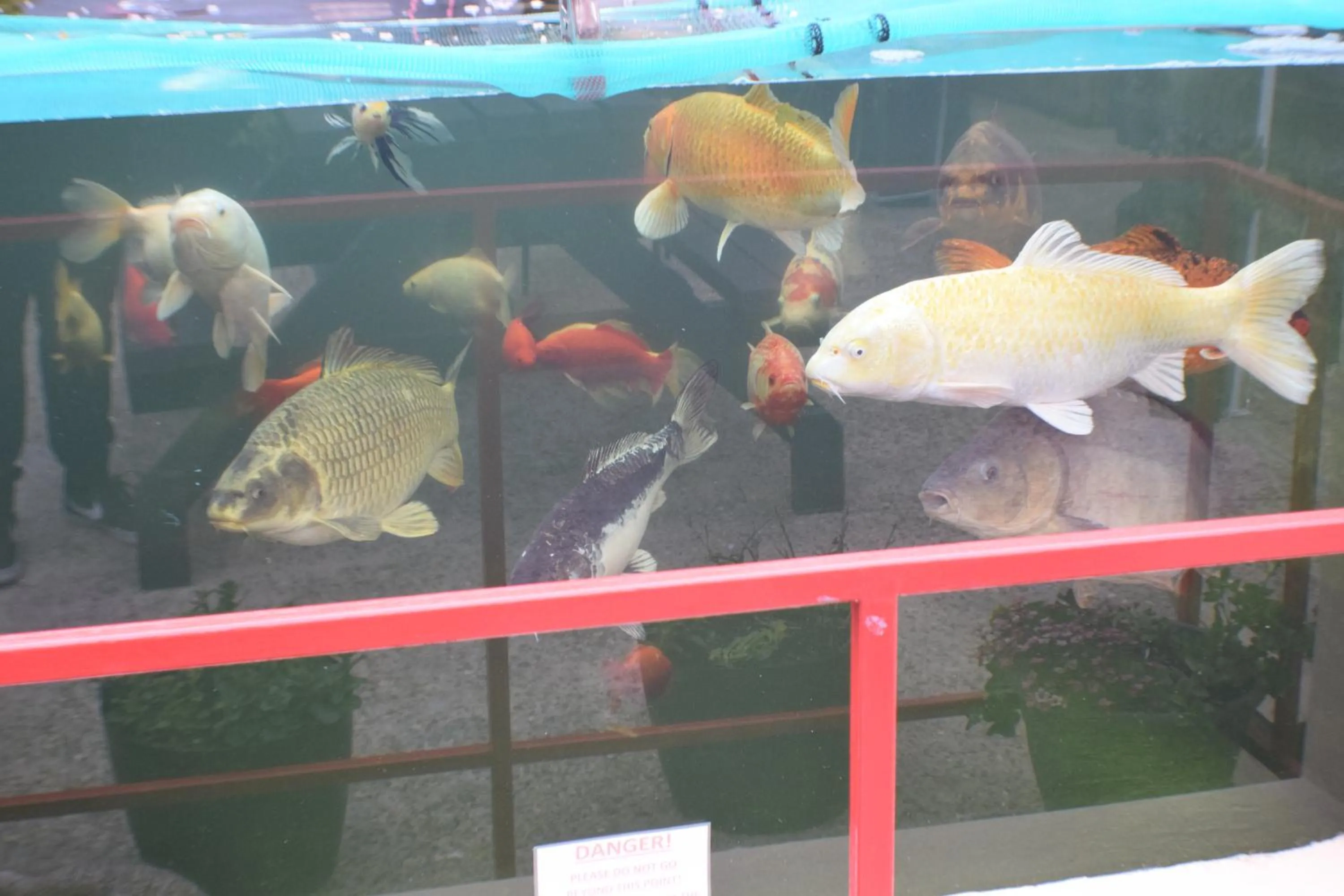 Seashells Beach Hotel