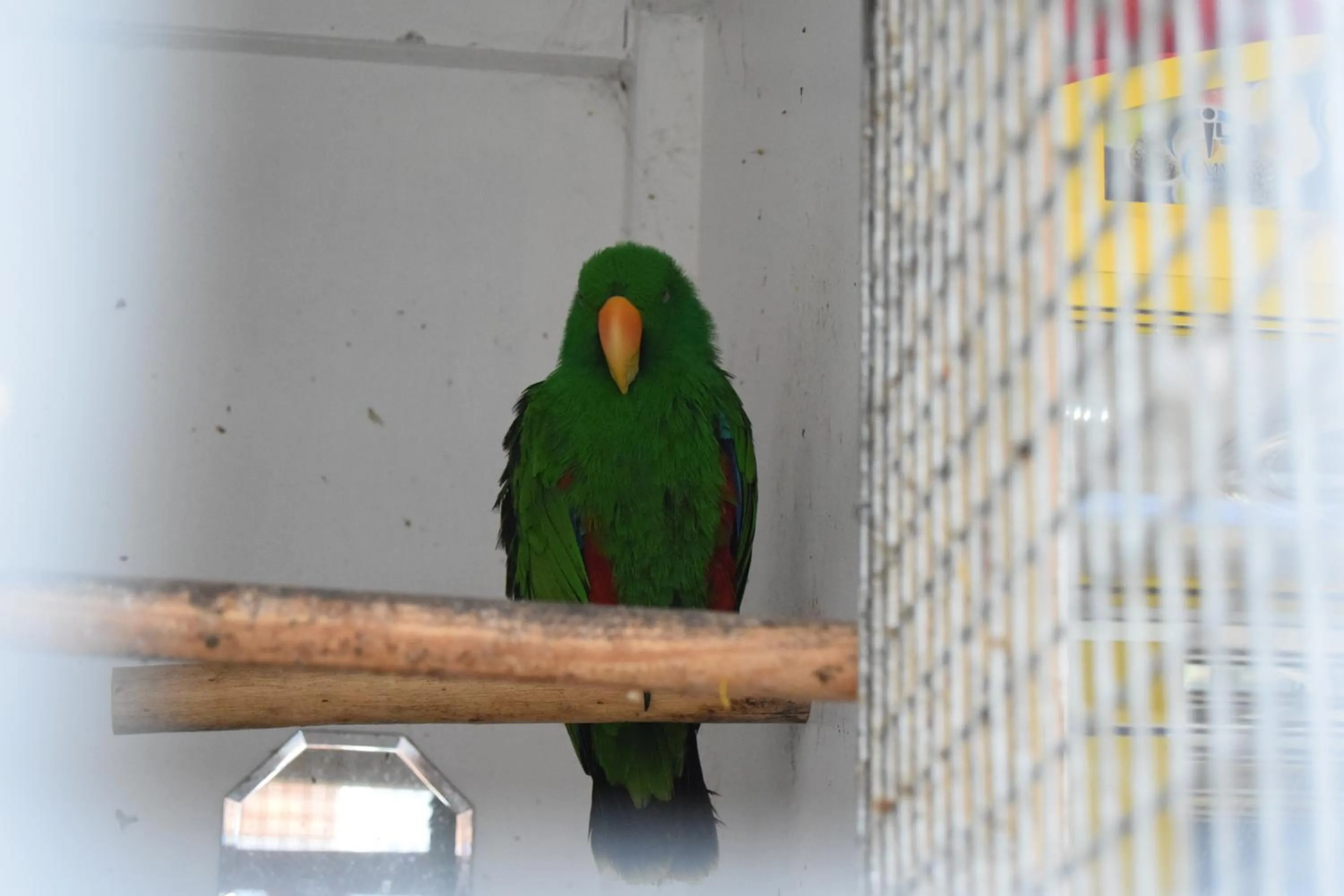 Seashells Beach Hotel