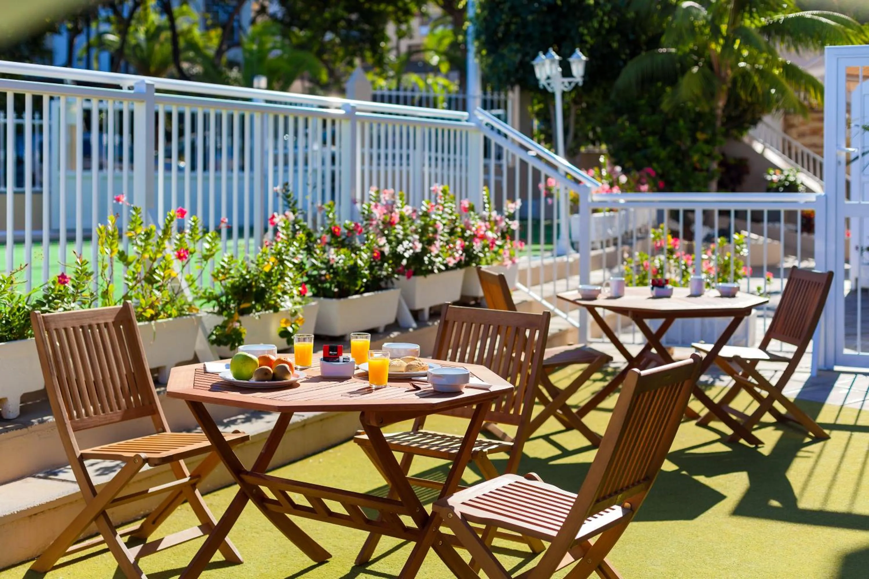 Garden in Apartamentos Los Dragos del Norte