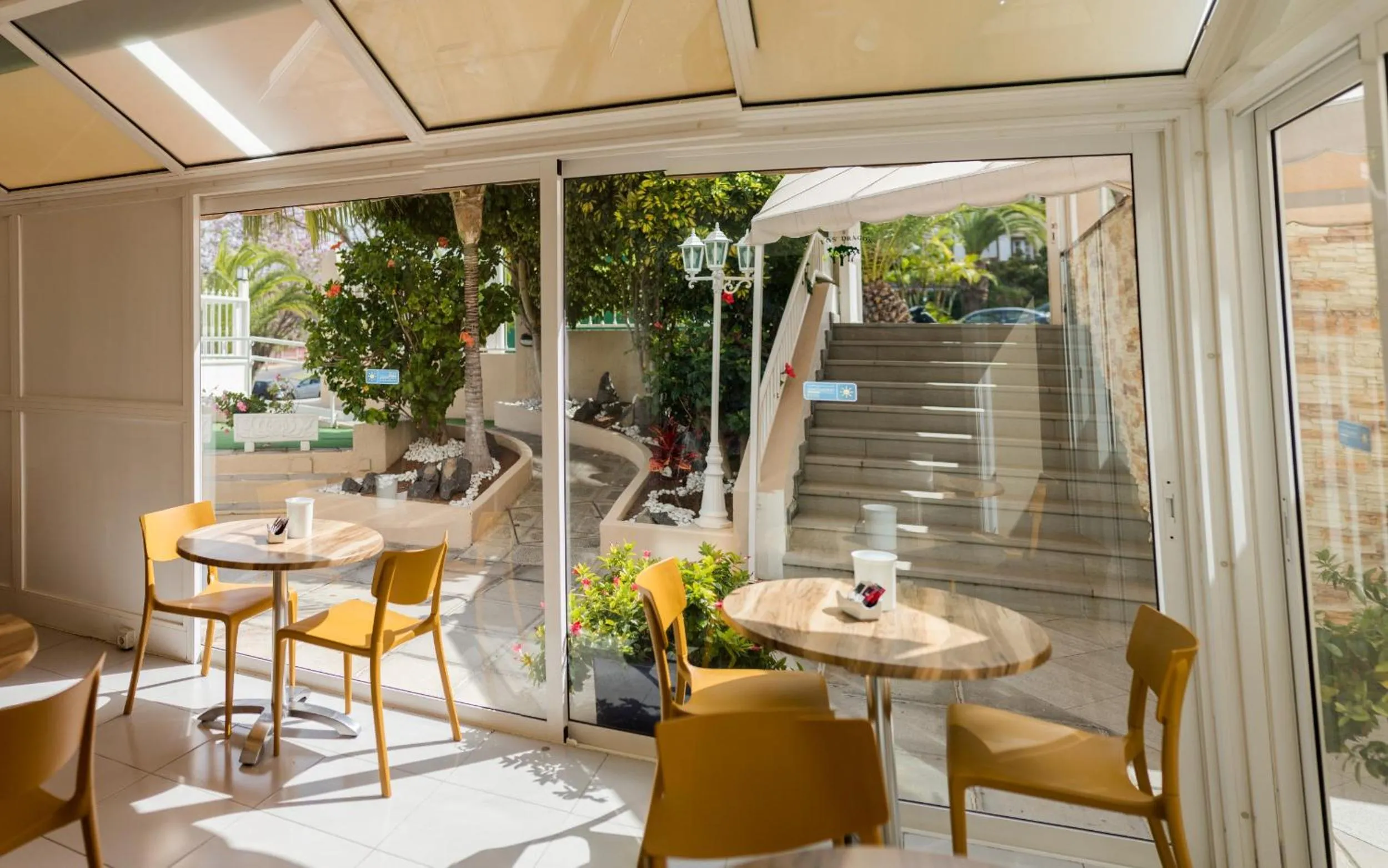 Lounge or bar in Apartamentos Los Dragos del Norte