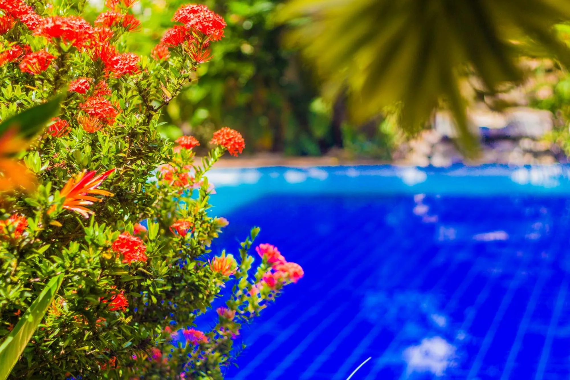 Pool view in Pousada Chamamé