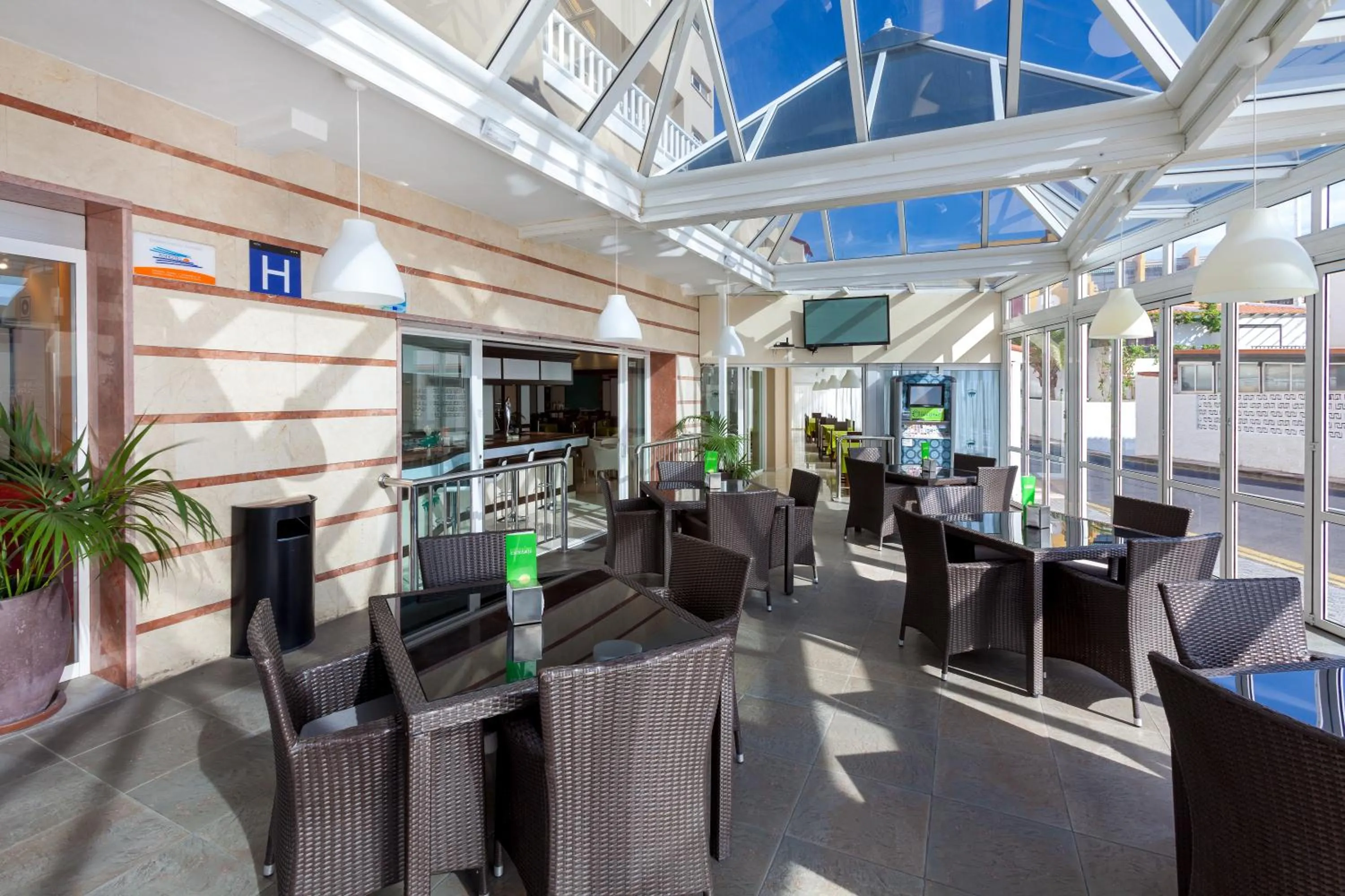 View (from property/room) in Aparthotel Los Dragos del Sur