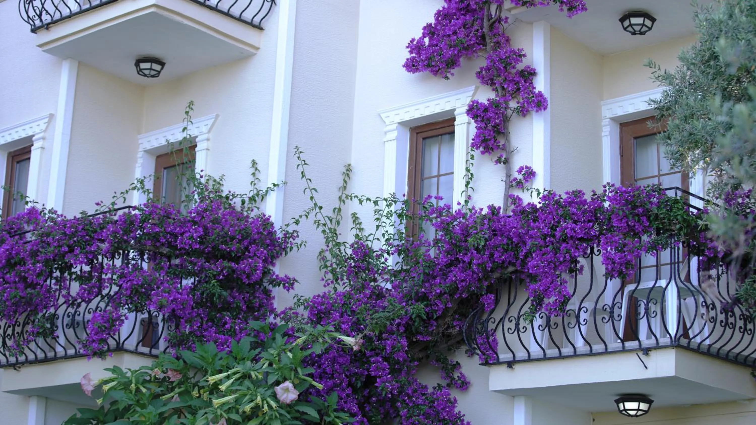 Garden in Yel Holiday Resort