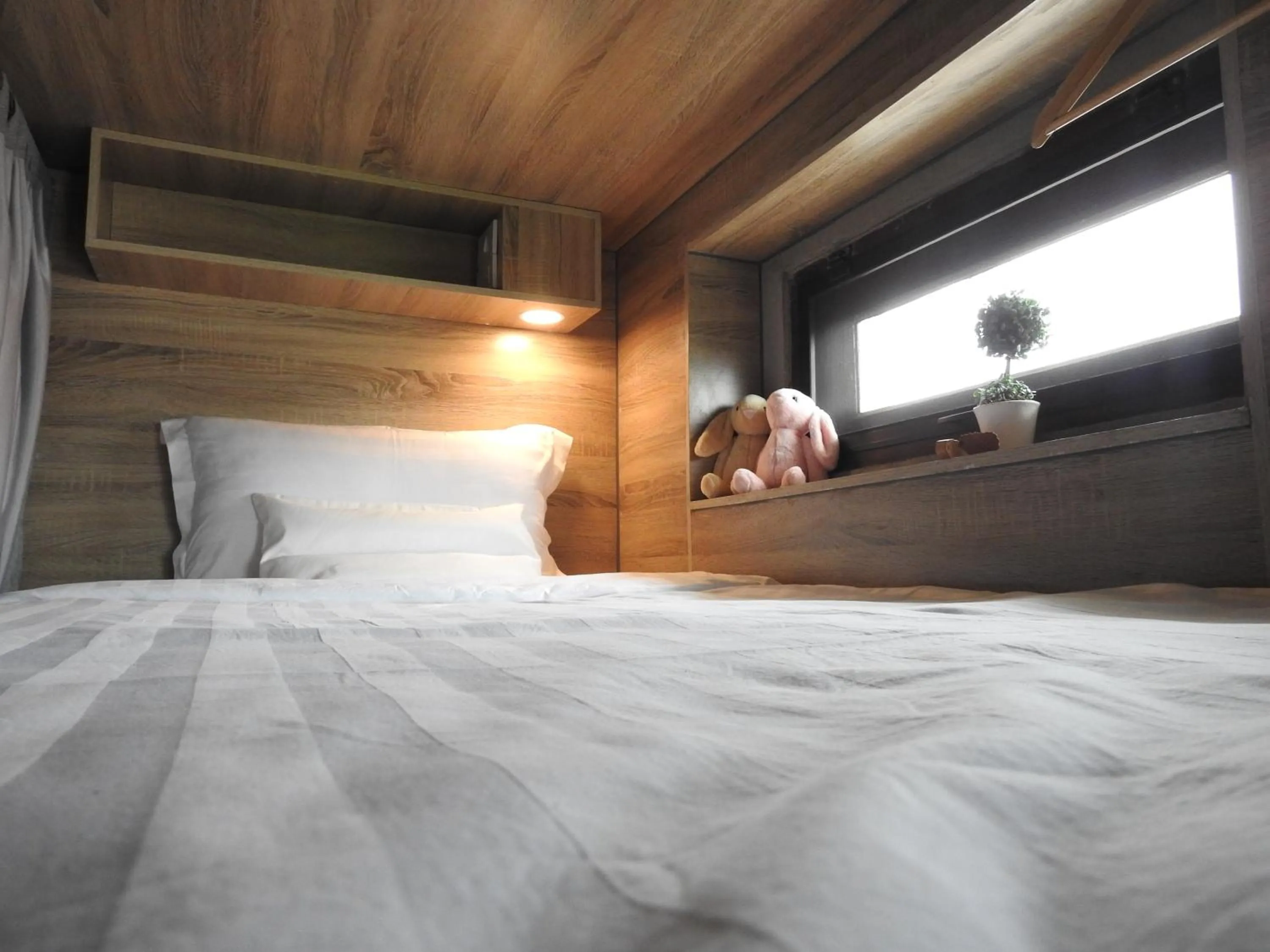 bunk bed, Bed in To Bed Poshtel