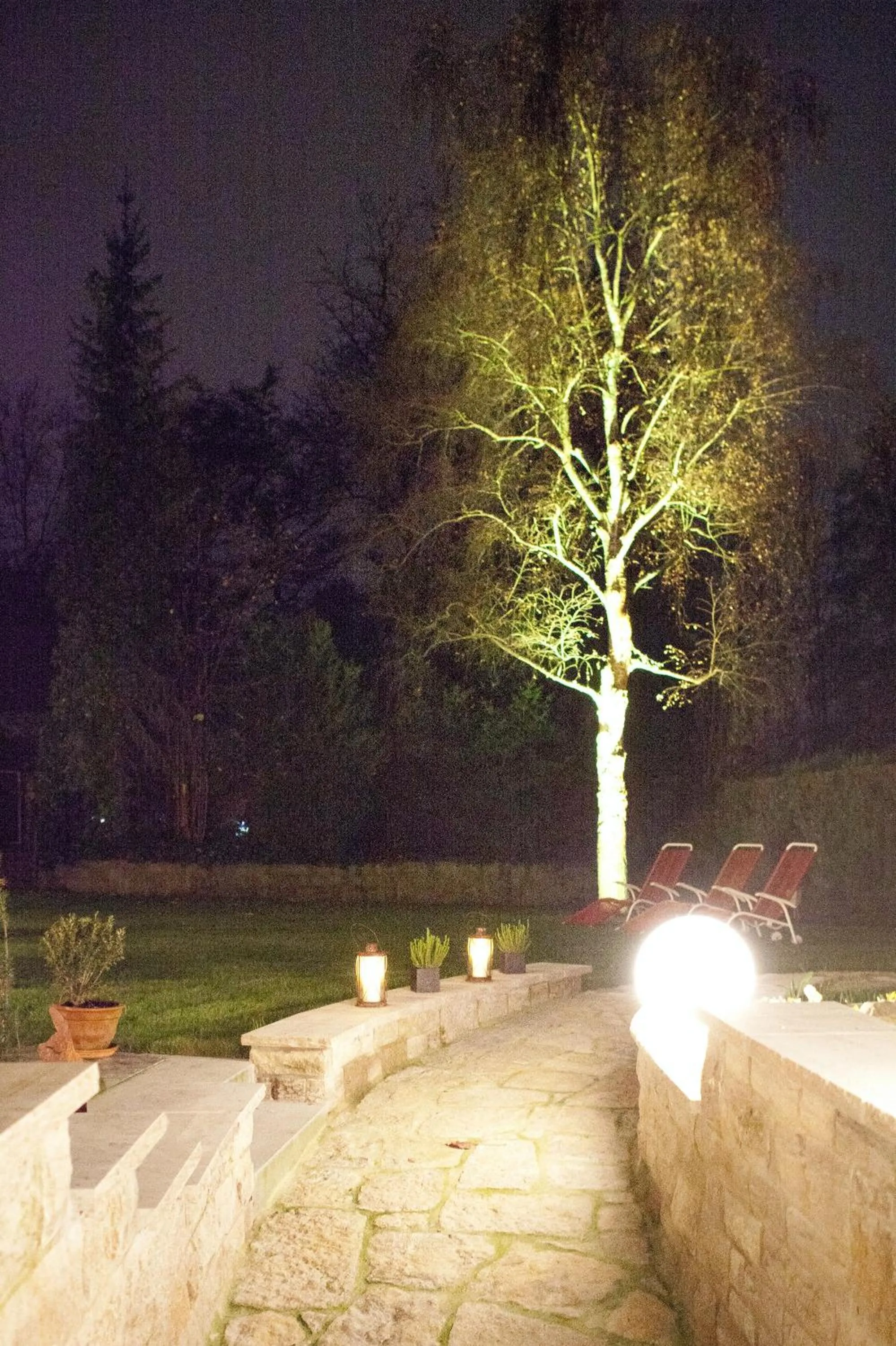 Garden in Hotel Alexa