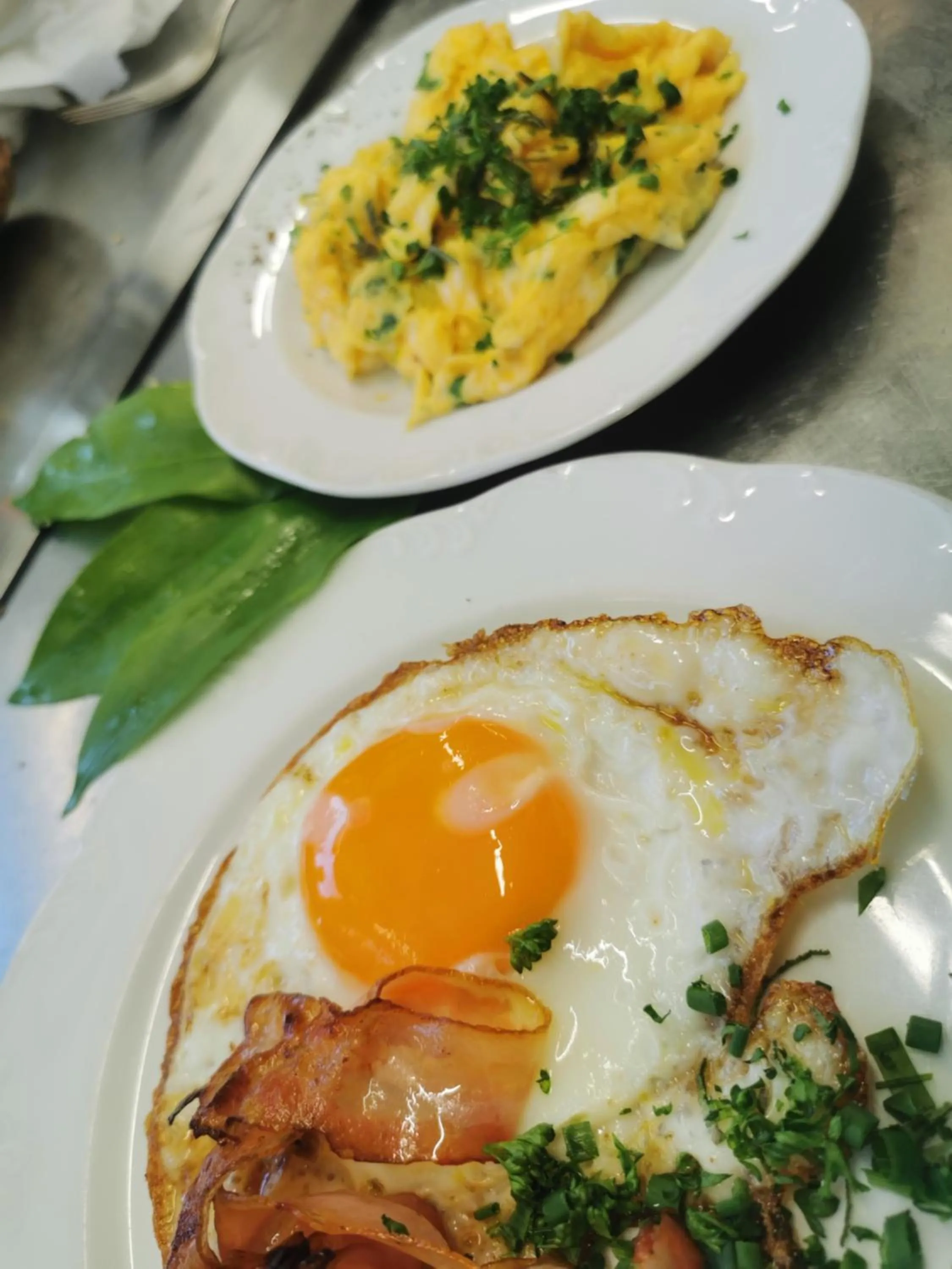 Breakfast in Hotel Alexa