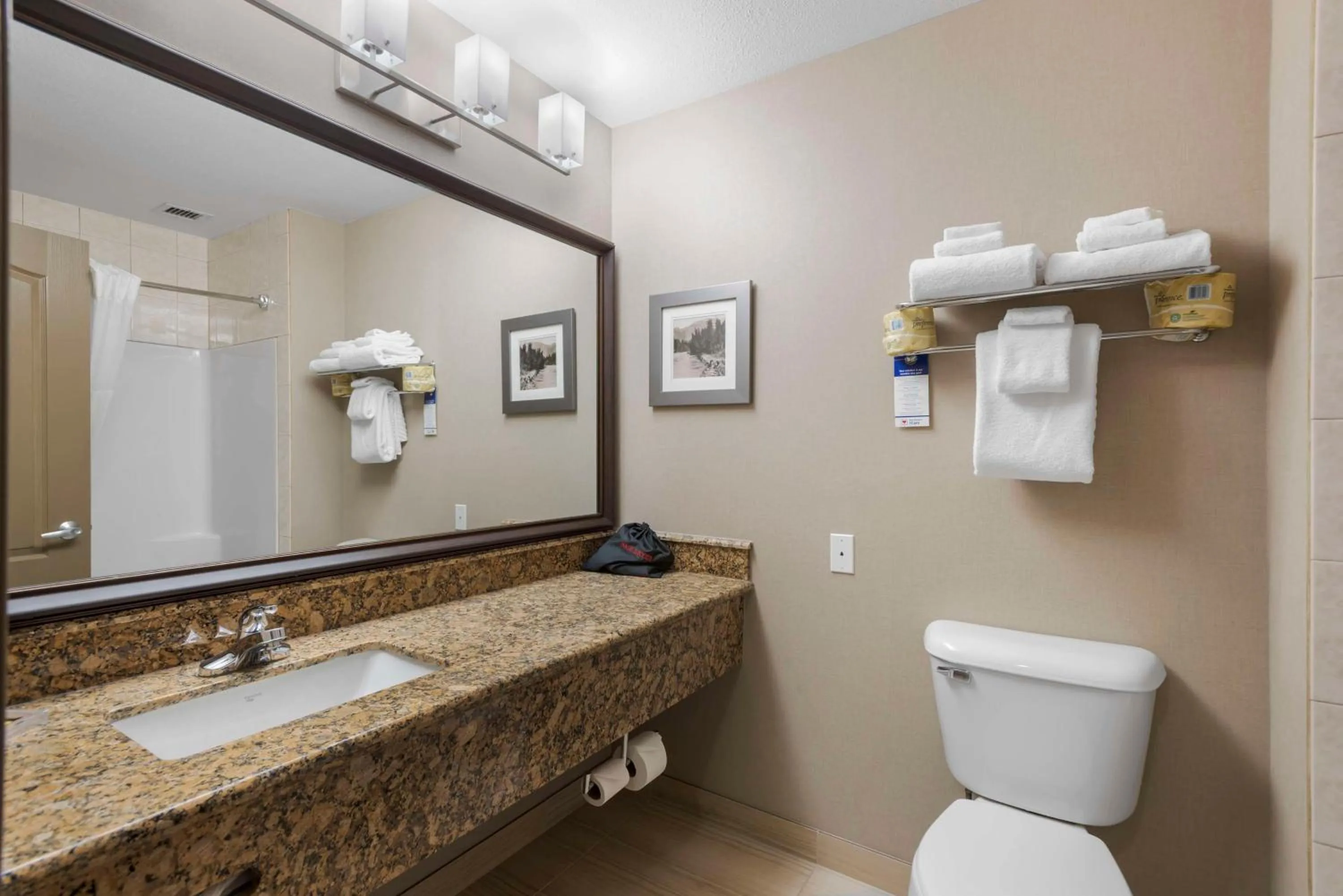 Bathroom in Best Western Plus Fernie Mountain Lodge