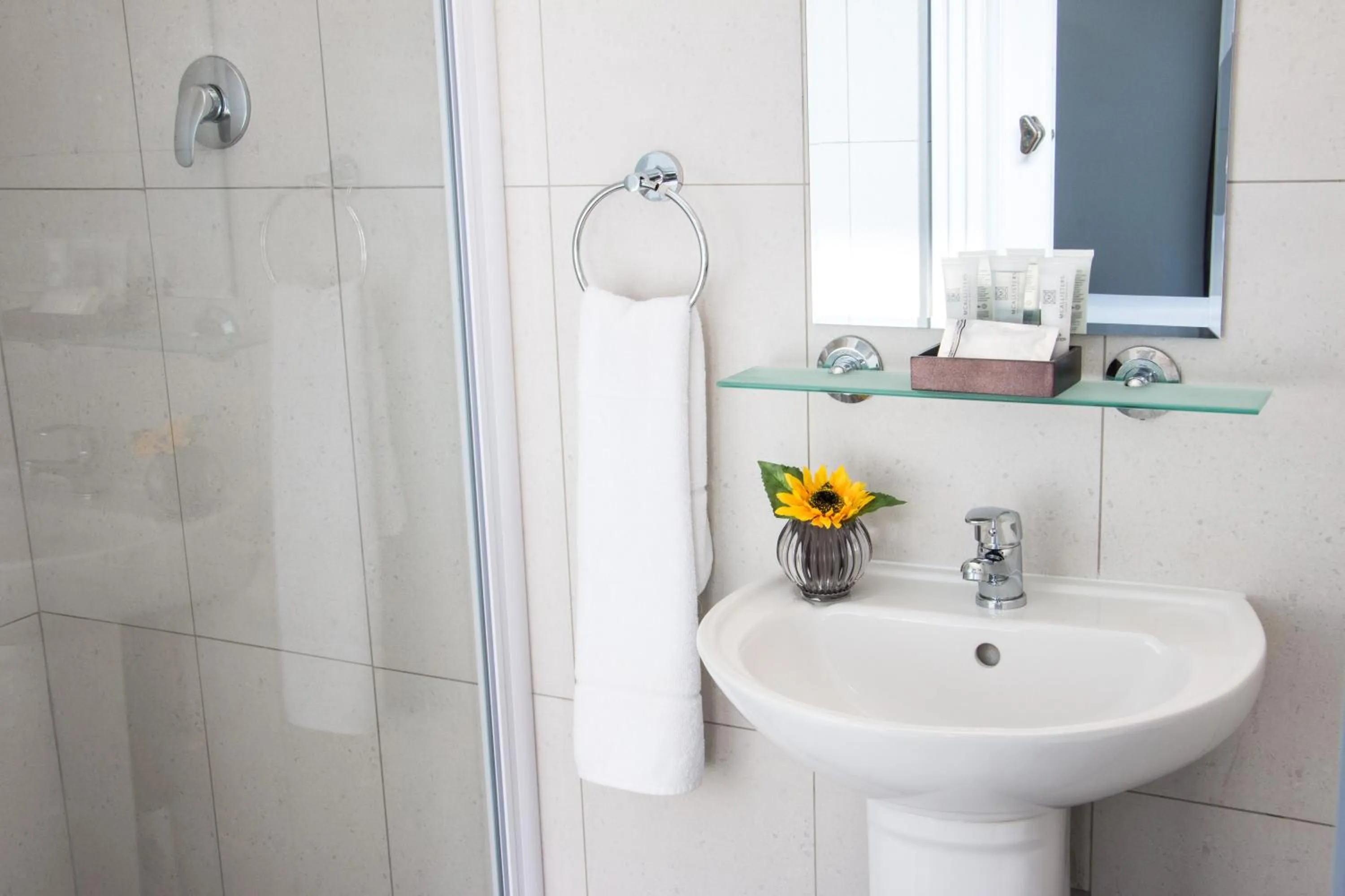 Bathroom in McAllisters on 8th