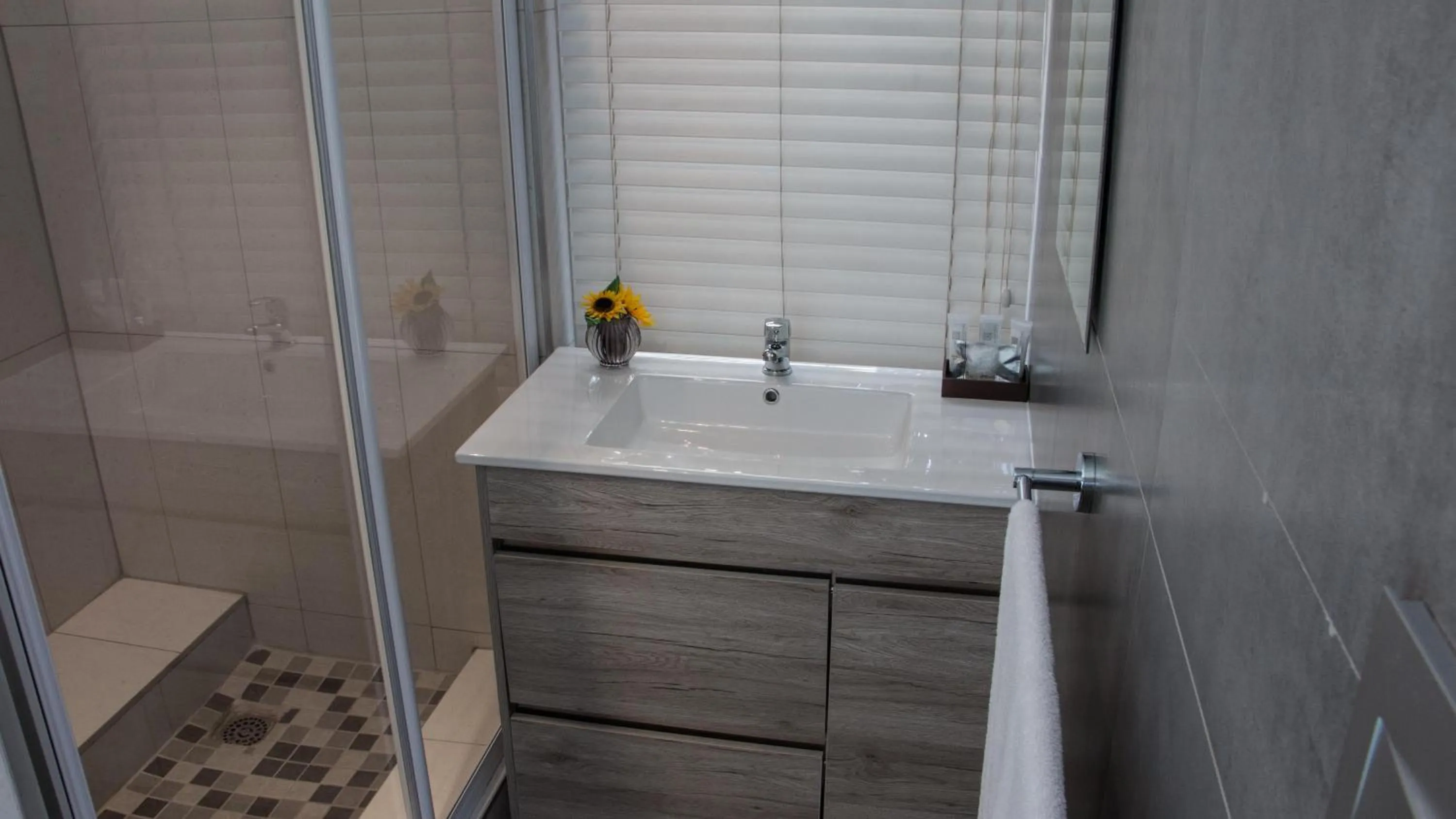 Bathroom in McAllisters on 8th