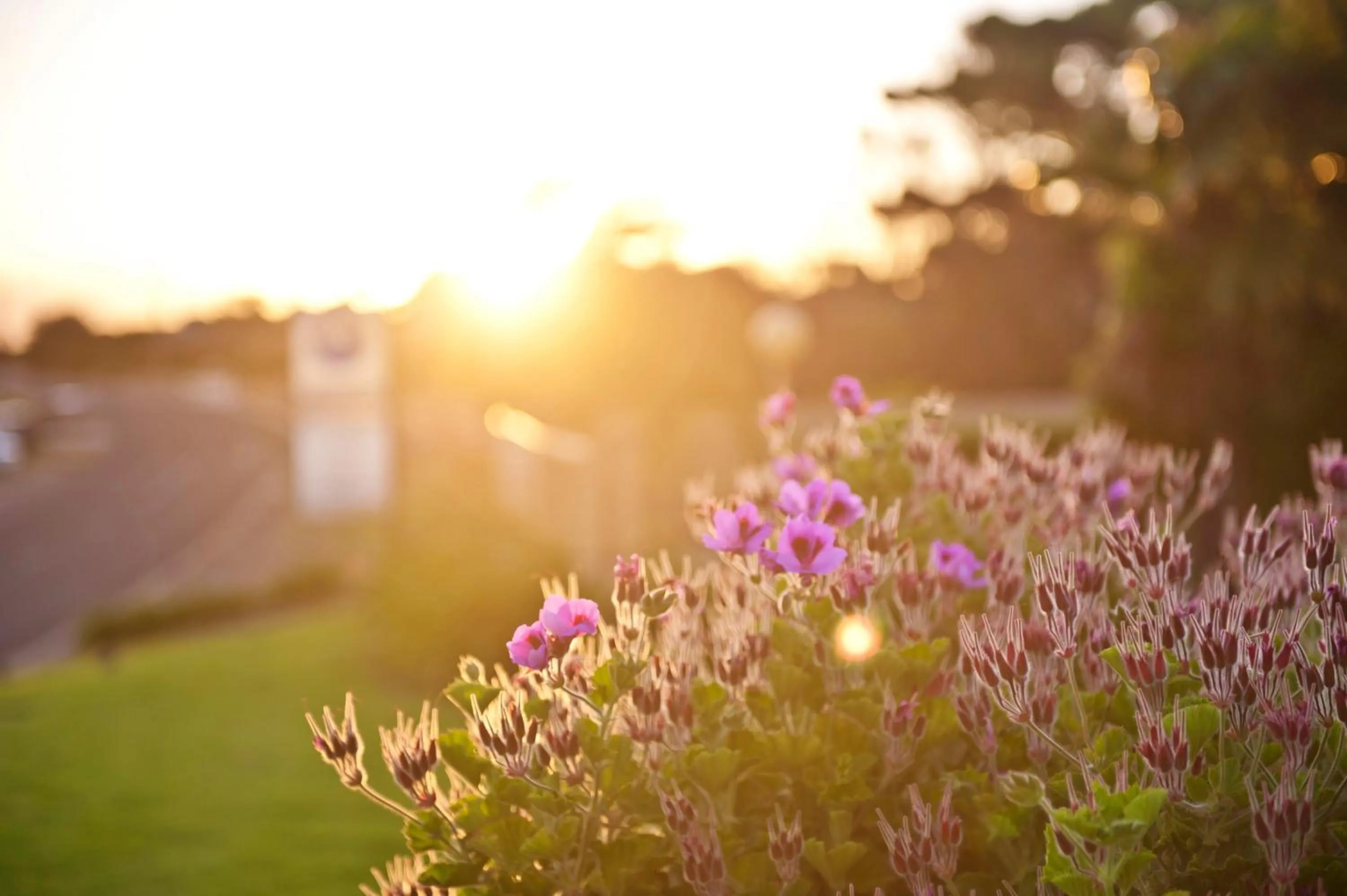 On site in Kangaroo Island Seaside Inn