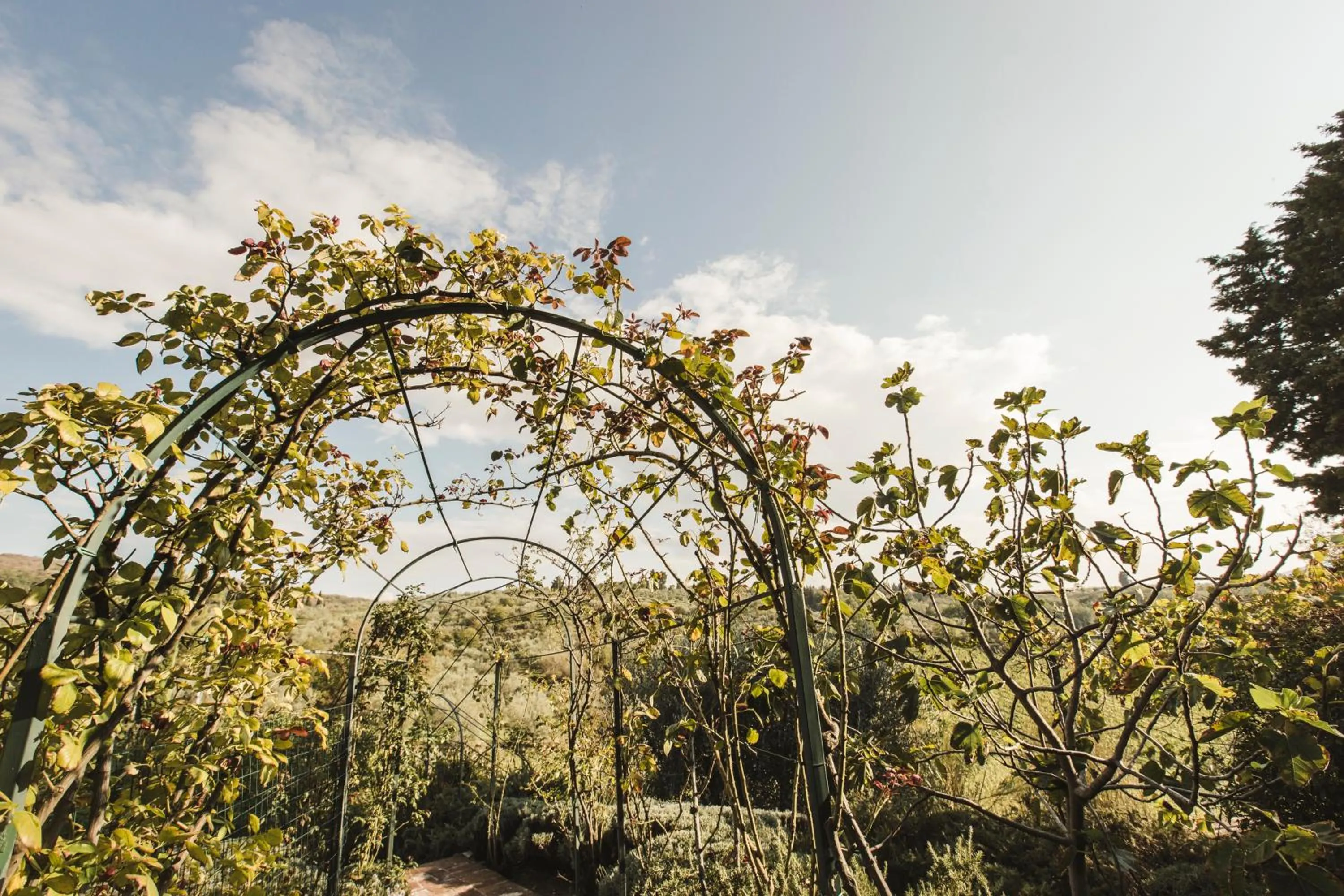 Garden in La Veronica Exclusive Chianti Resort