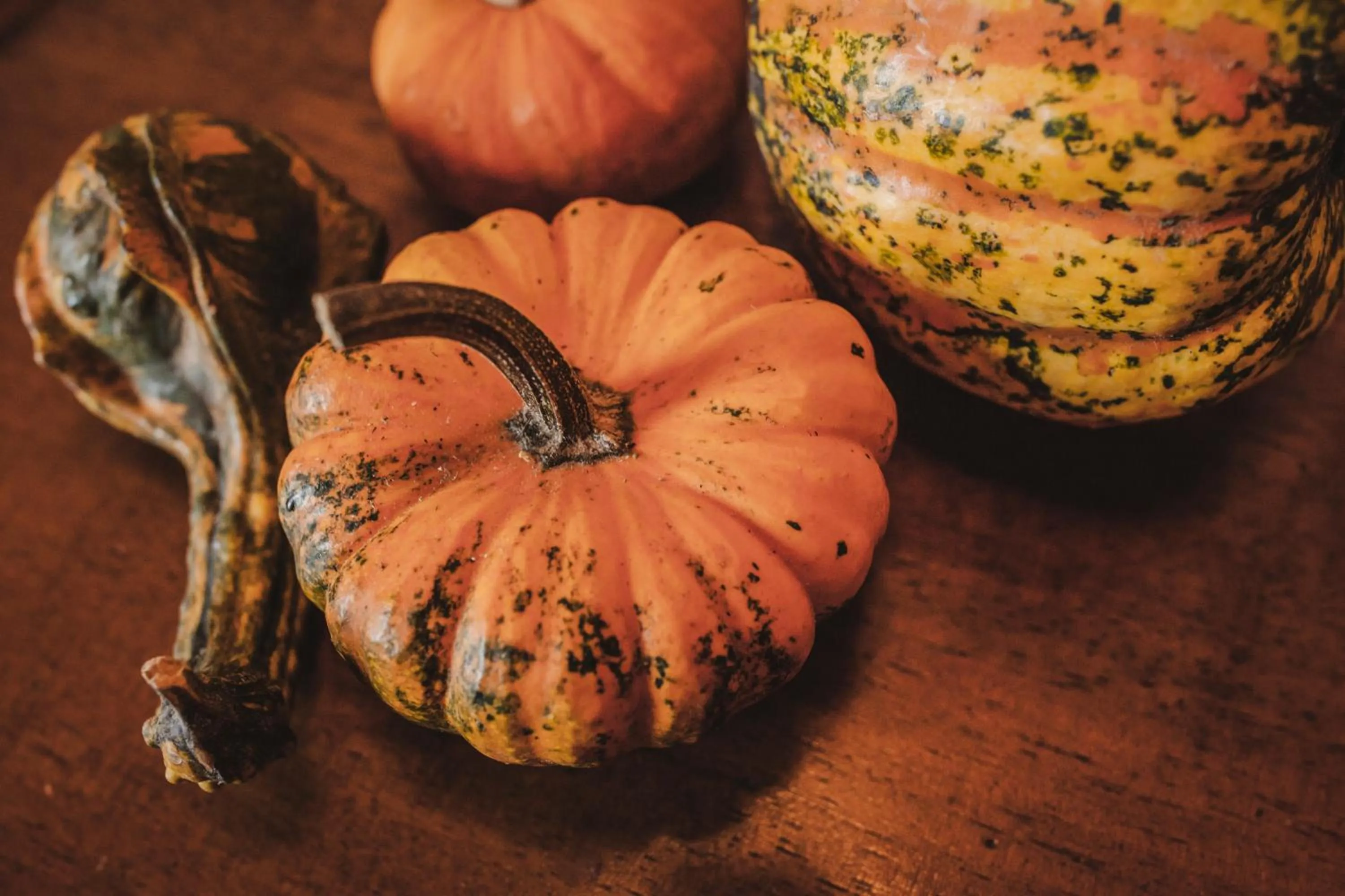 Decorative detail in La Veronica Exclusive Chianti Resort