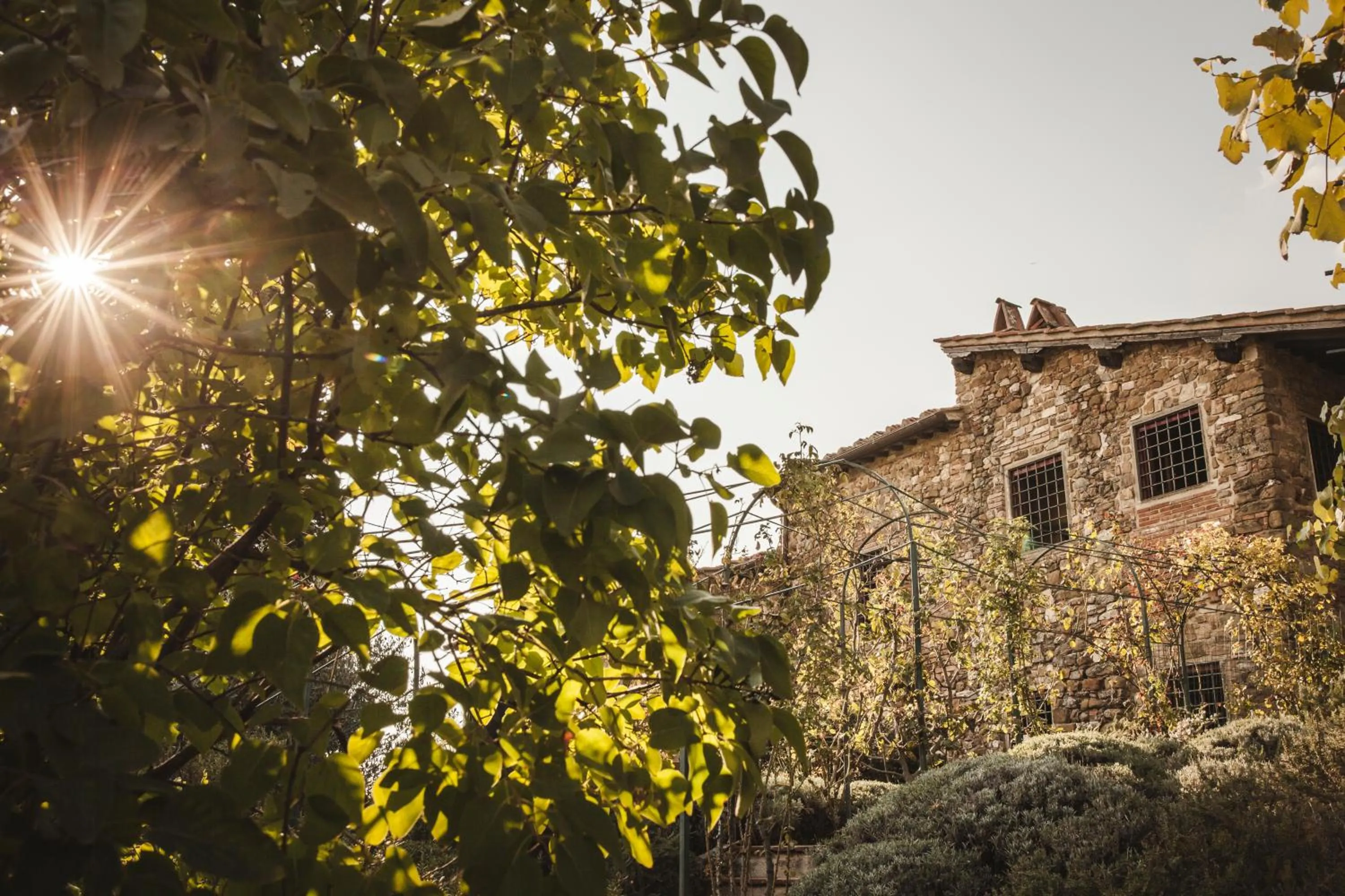 Property building in La Veronica Exclusive Chianti Resort