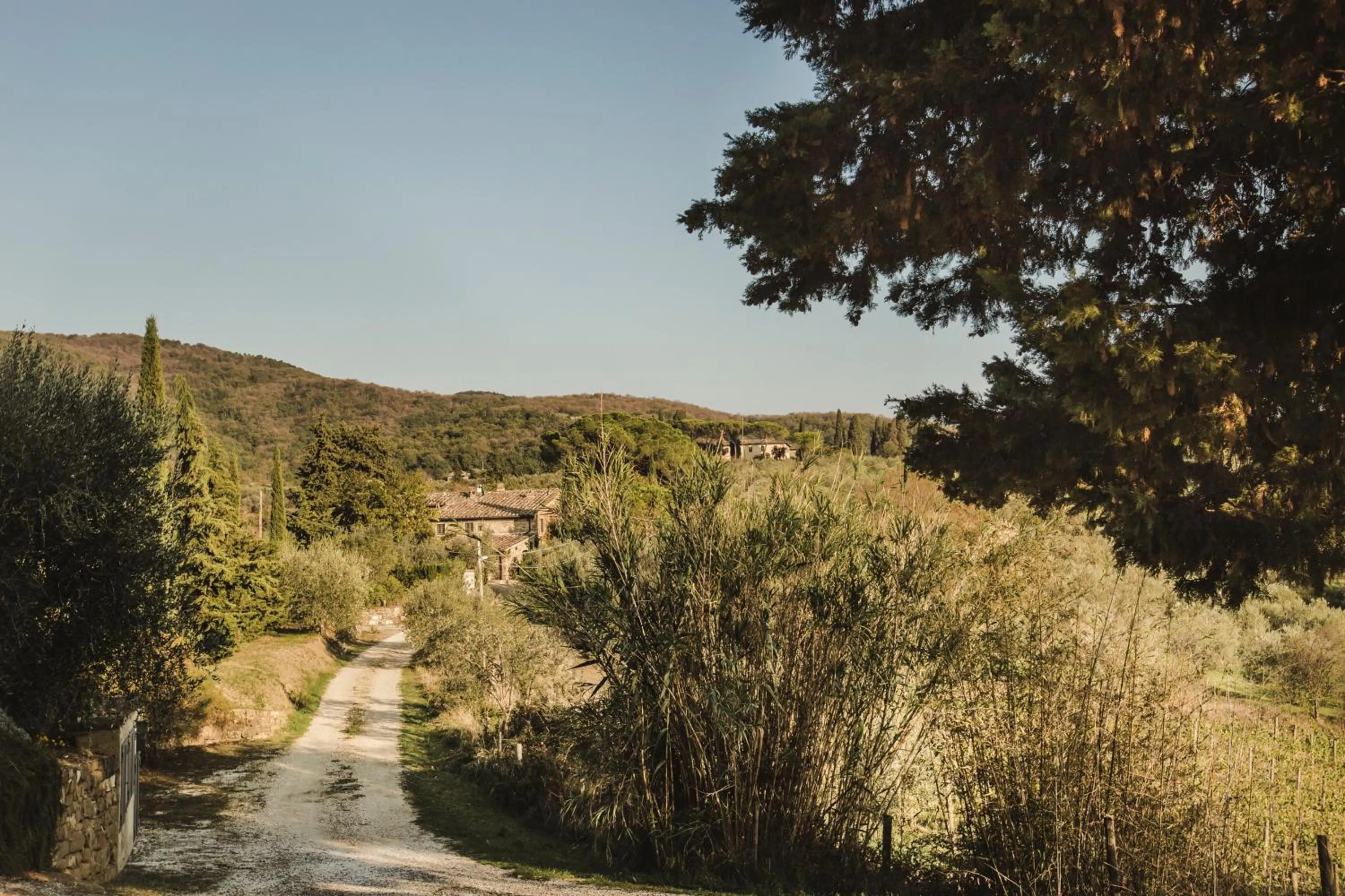 Property building in La Veronica Exclusive Chianti Resort