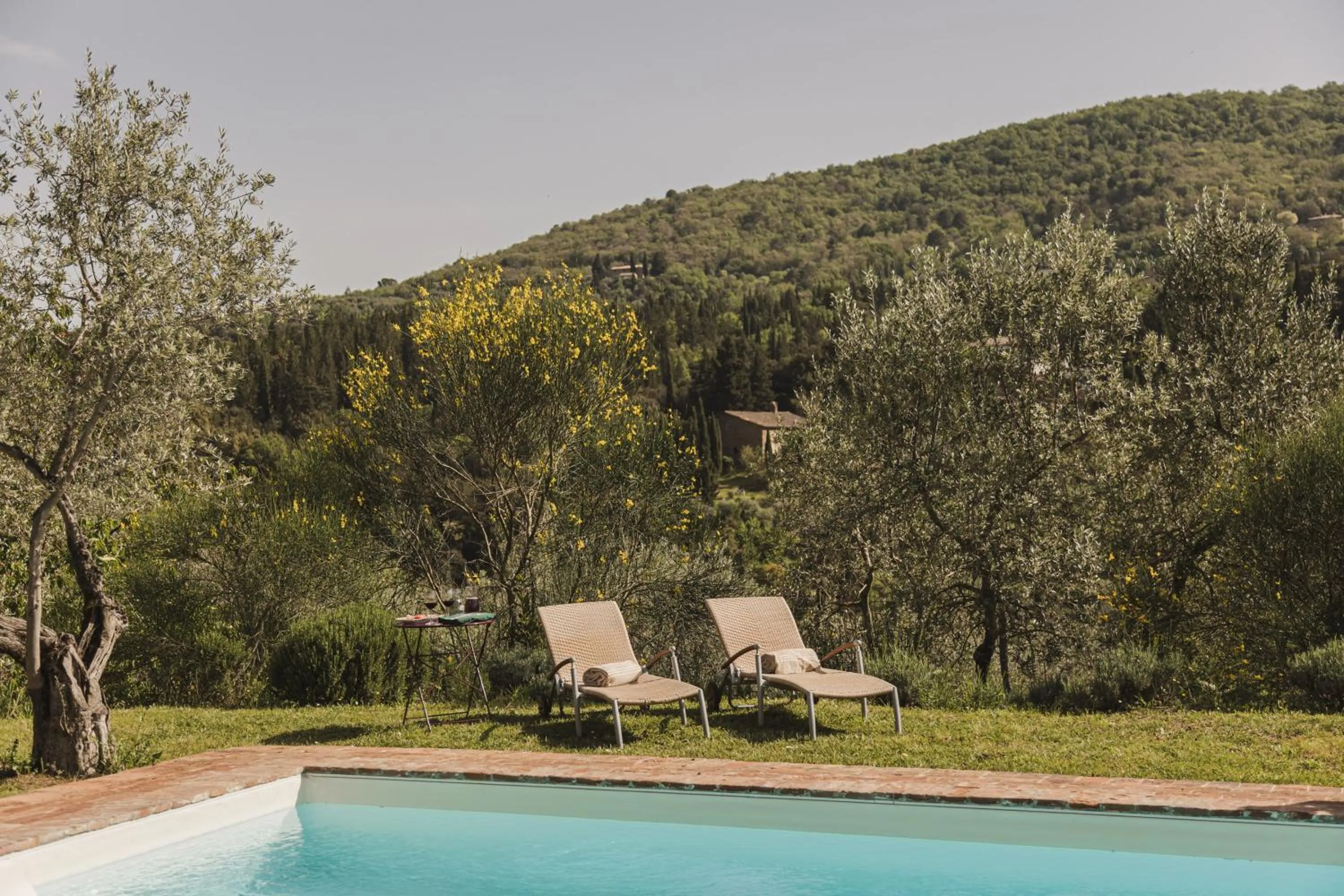 Swimming pool in La Veronica Exclusive Chianti Resort