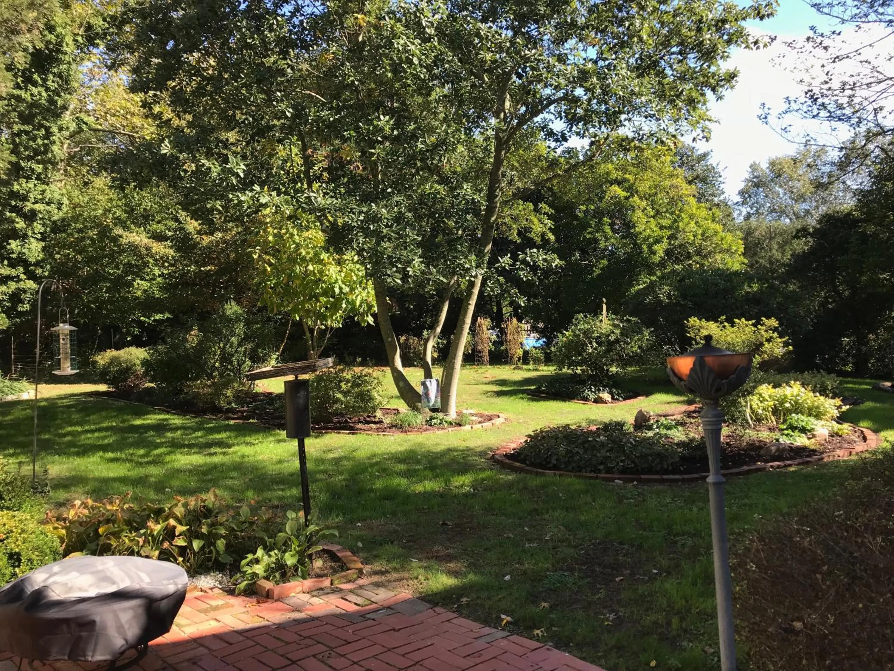 Garden in Miller-Dunham House B&B