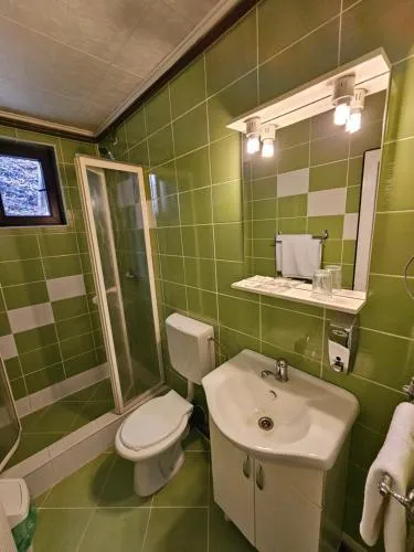 Complex Turistic Caprioara