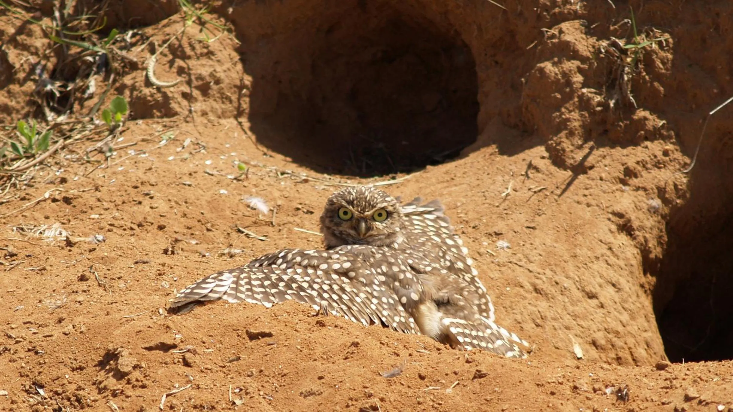 Day in Hotel Fazenda Itáytyba