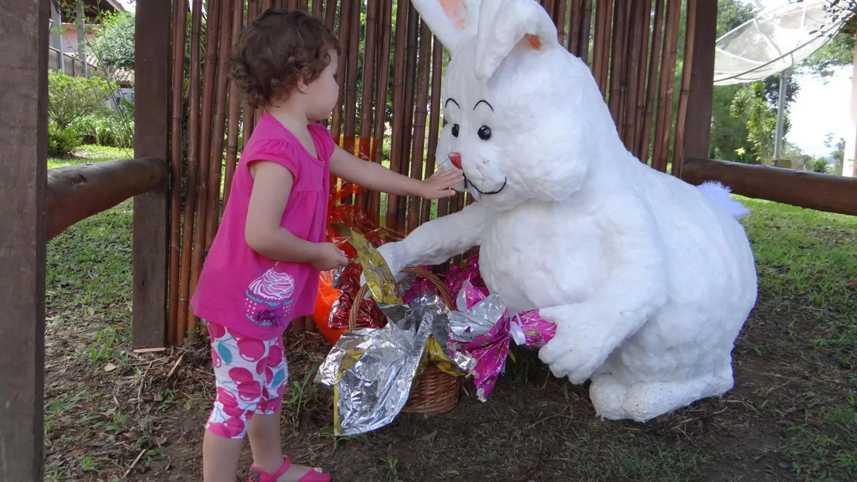 Day in Hotel Fazenda Itáytyba
