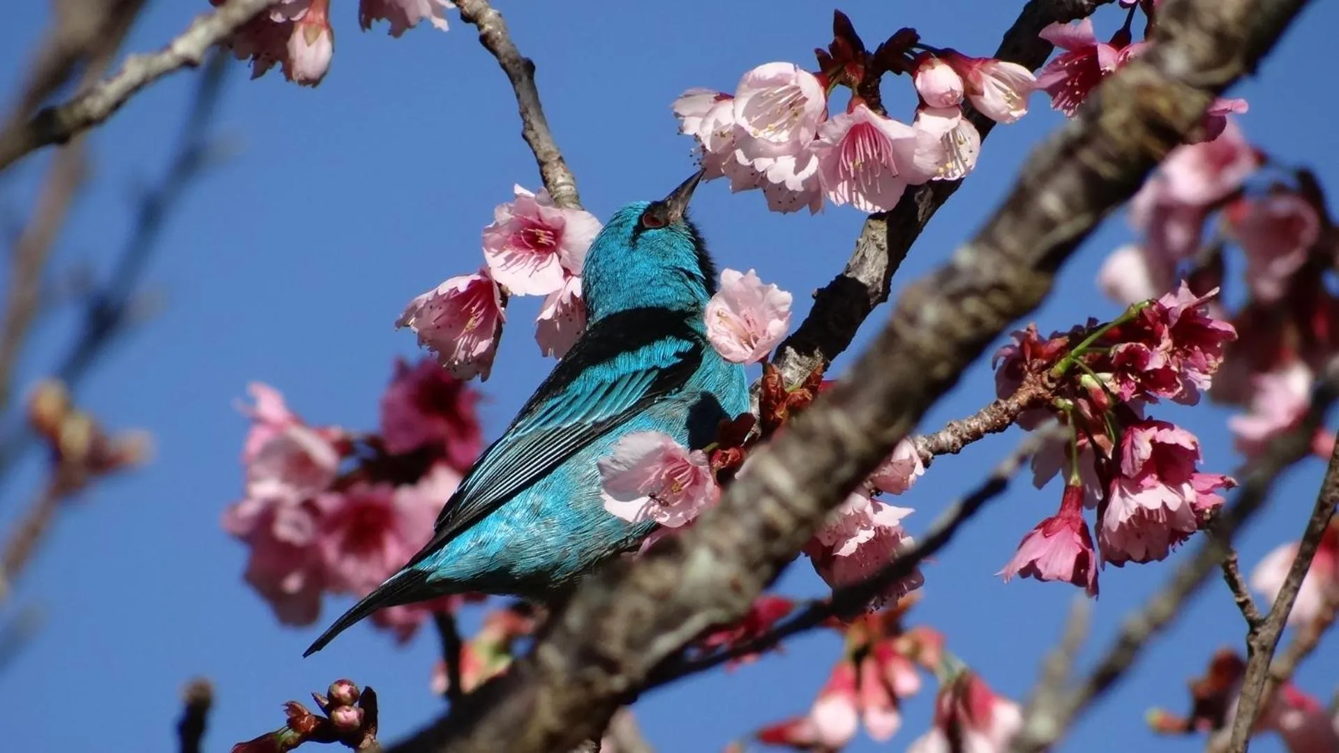Day in Hotel Fazenda Itáytyba