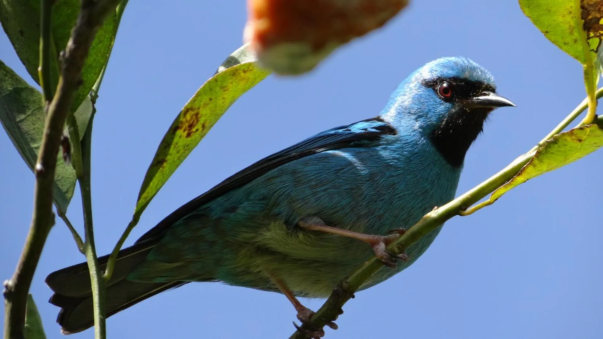 Day in Hotel Fazenda Itáytyba