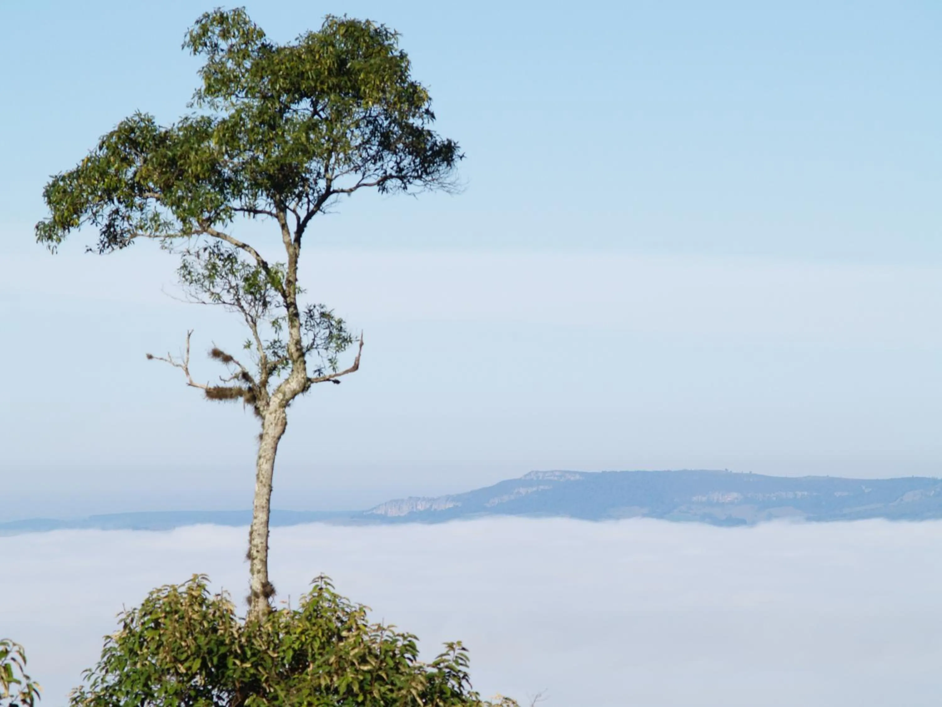 Day in Hotel Fazenda Itáytyba