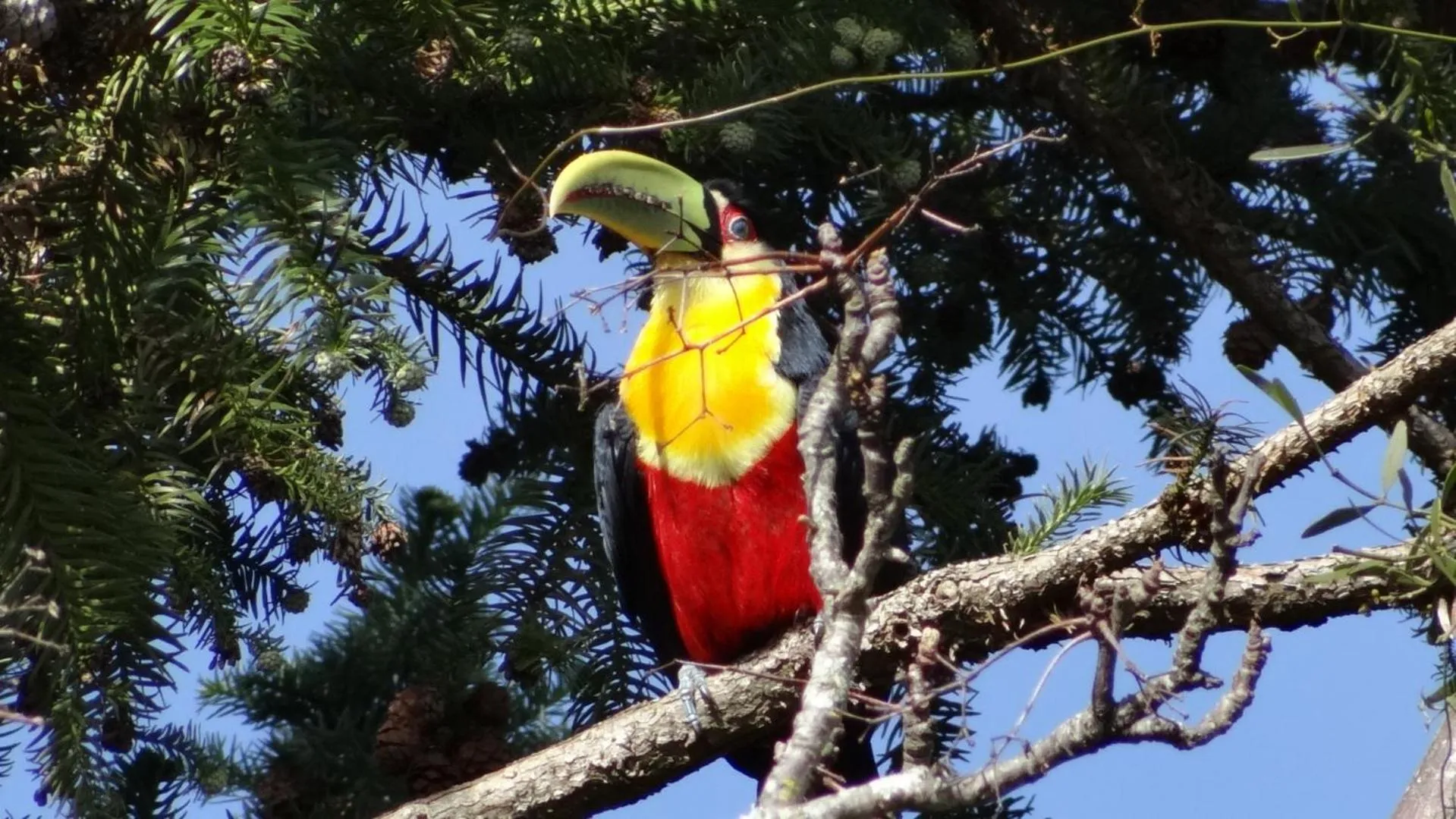 Day in Hotel Fazenda Itáytyba