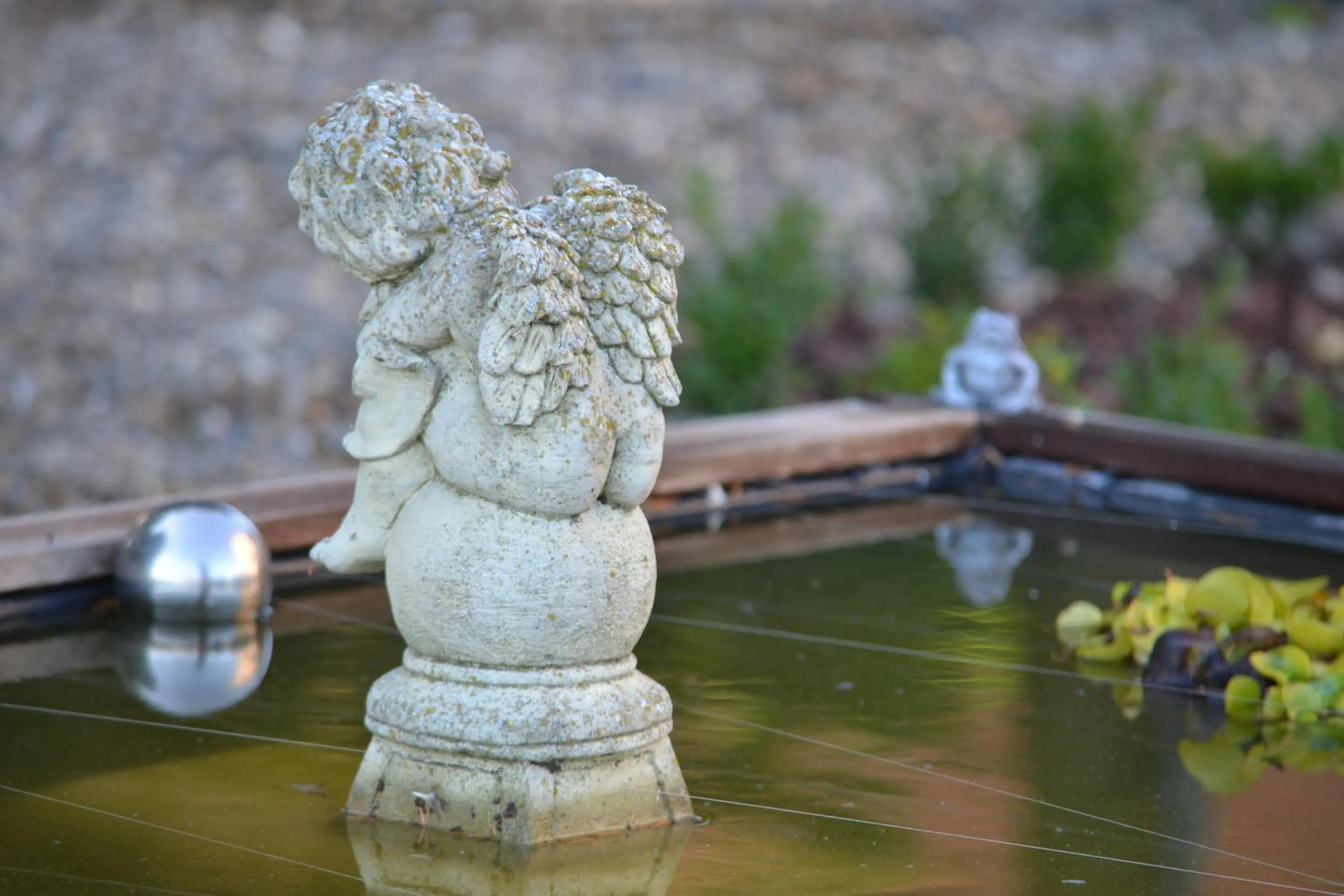 Garden in Boutique Hotel Butler