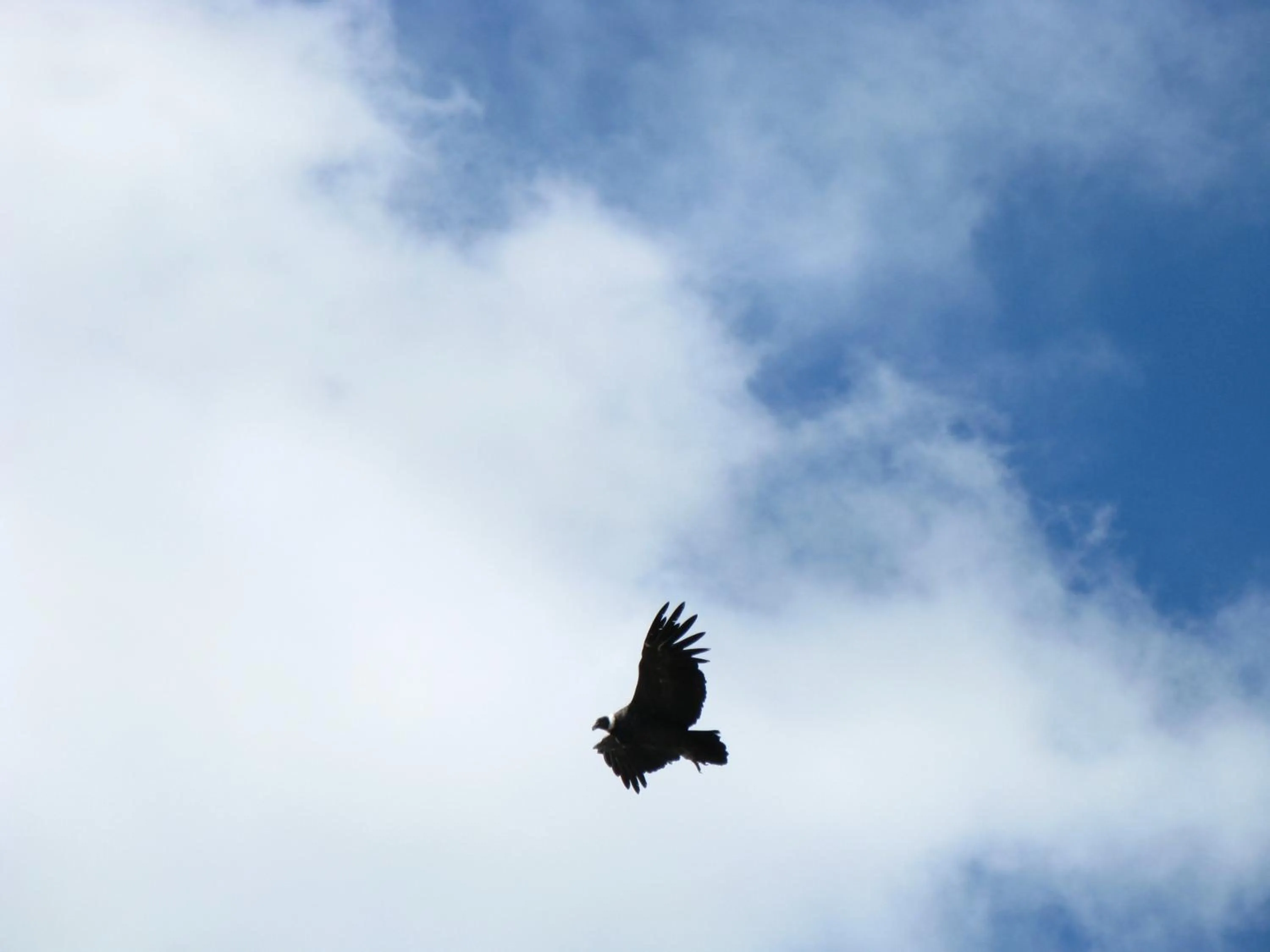 Area and facilities in Alto Verde Hostería