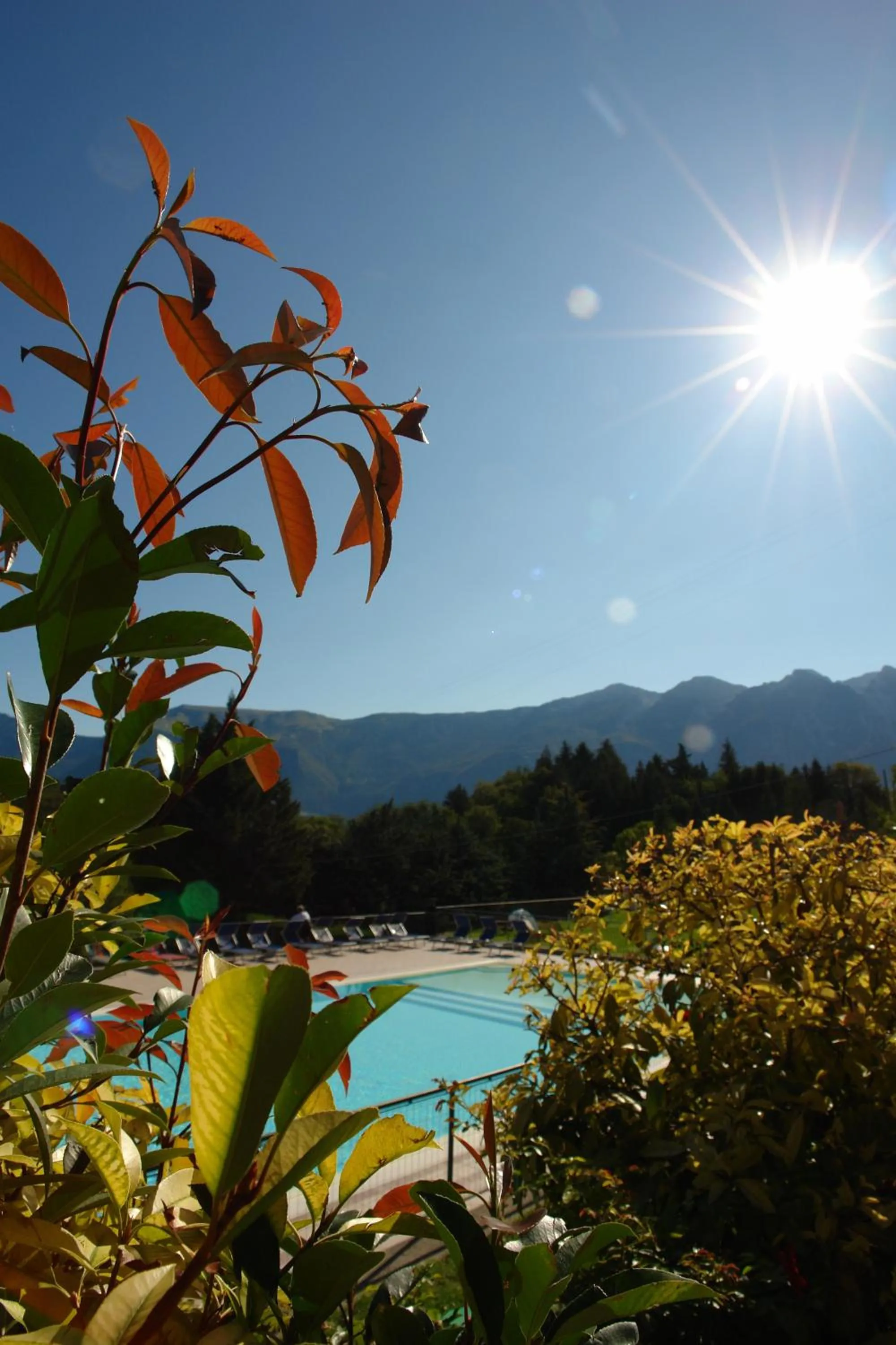 Day in Residence Delle Rose