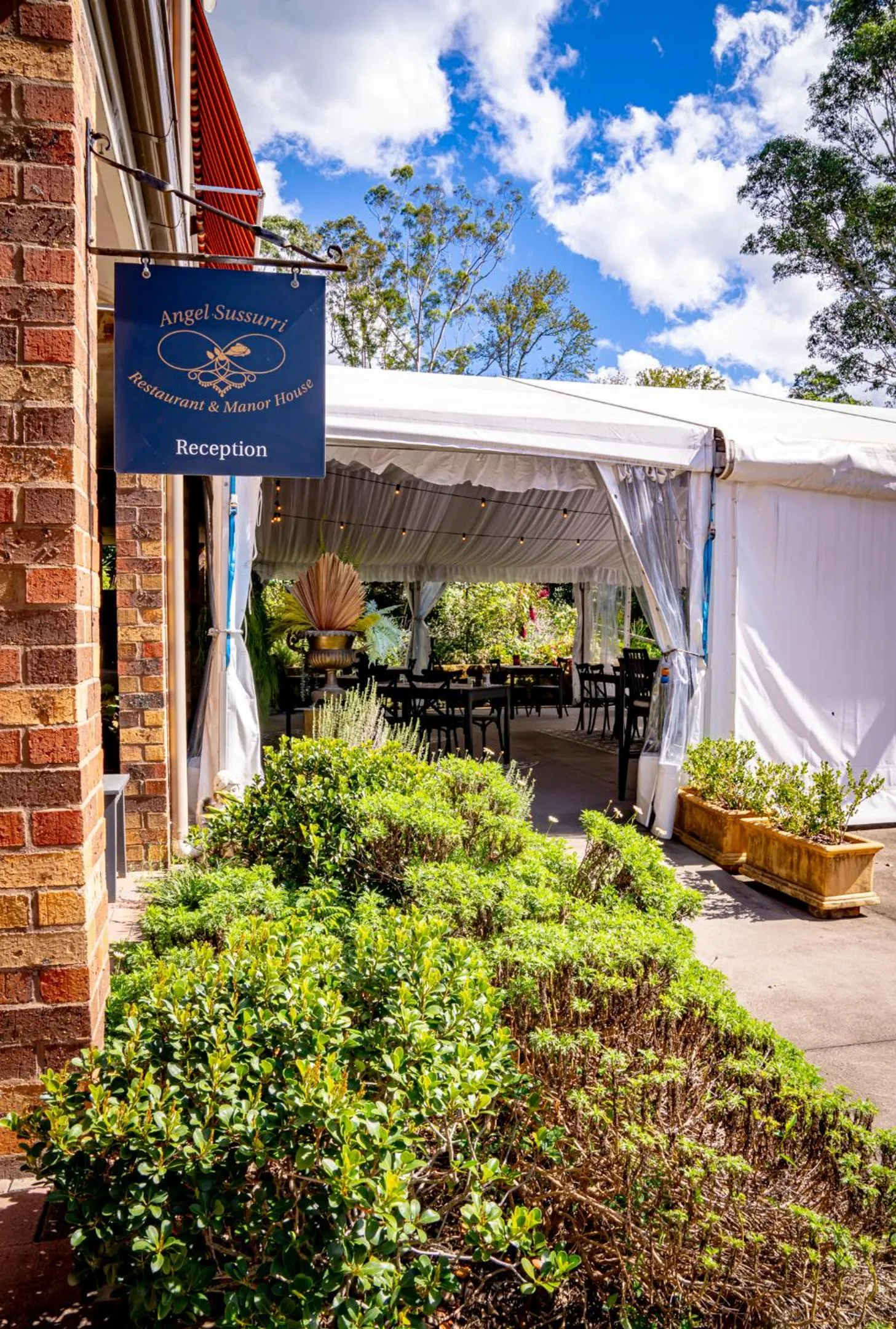 Property building in Angel Sussurri