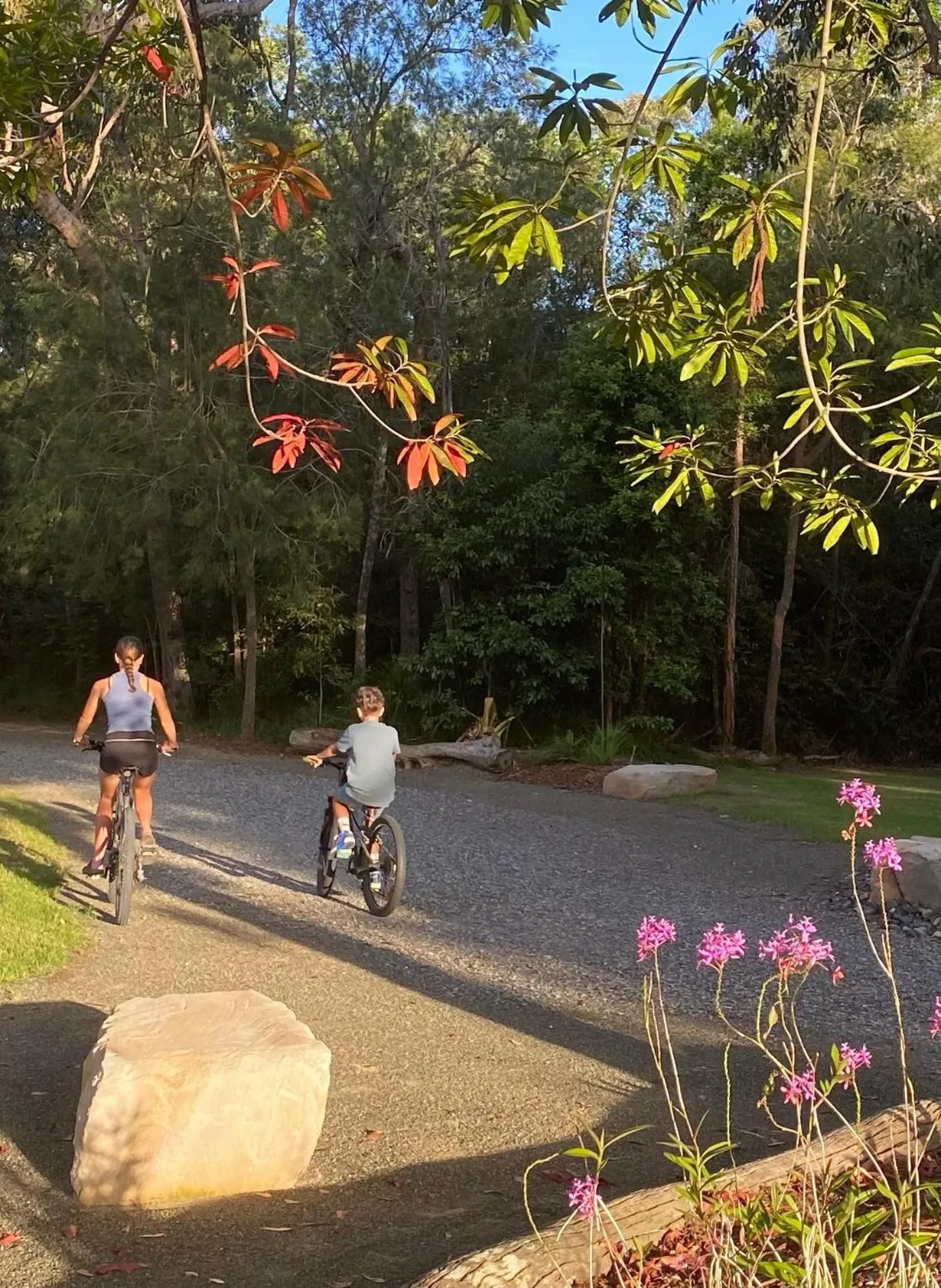 Cycling in Ferns Hideaway Resort