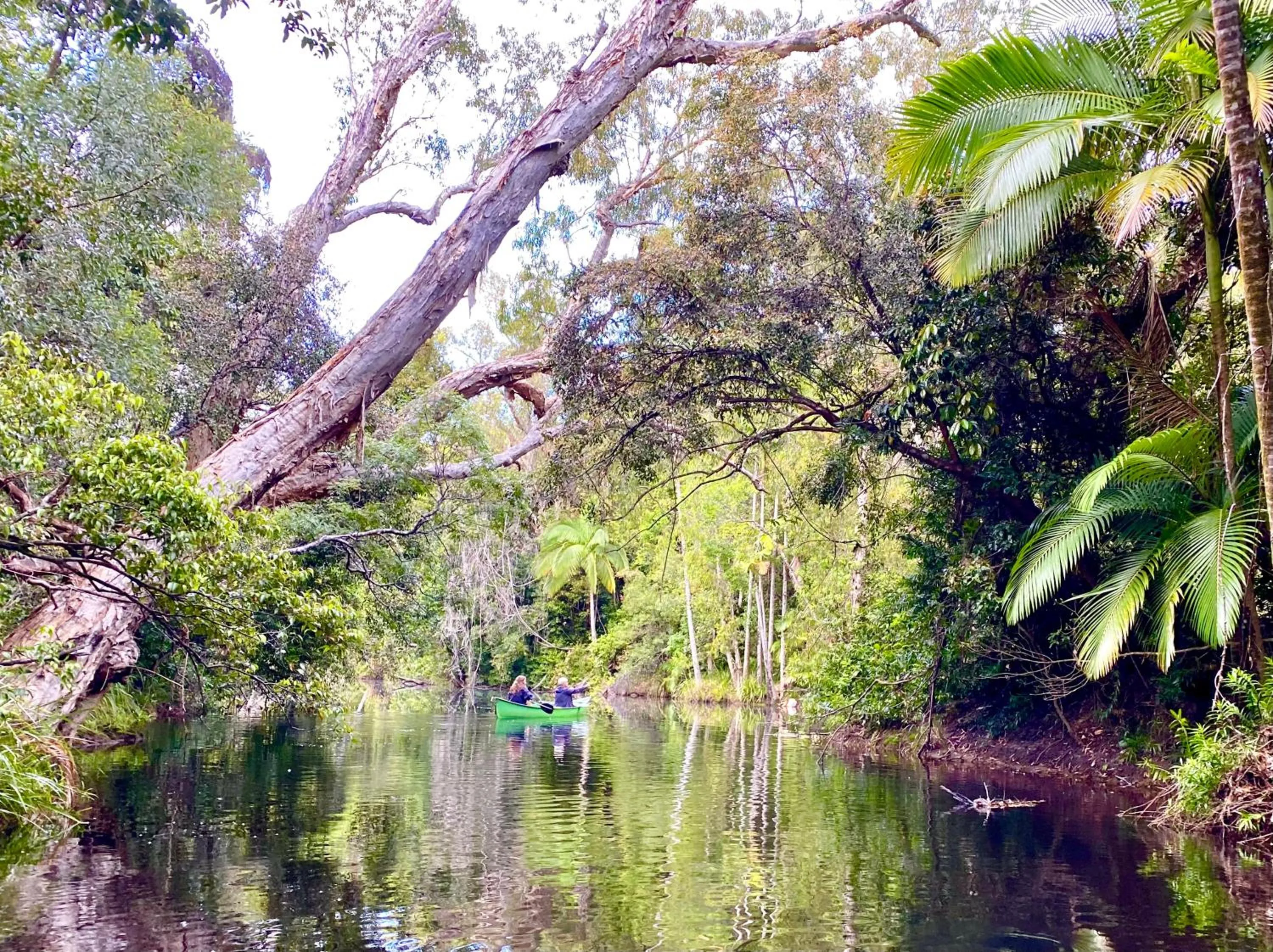 Canoeing in Ferns Hideaway Resort