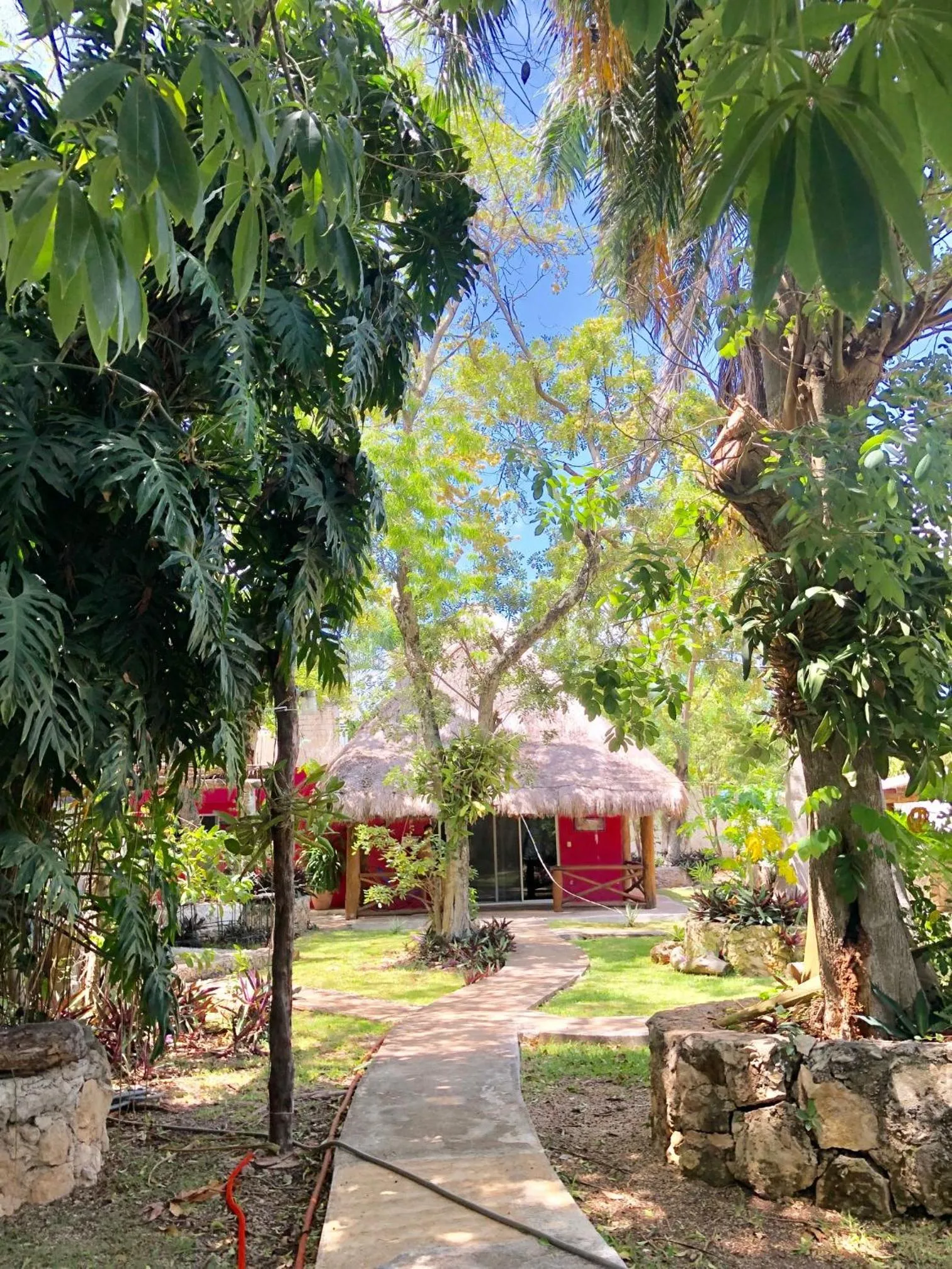 Garden in Ch'ejum bungalow