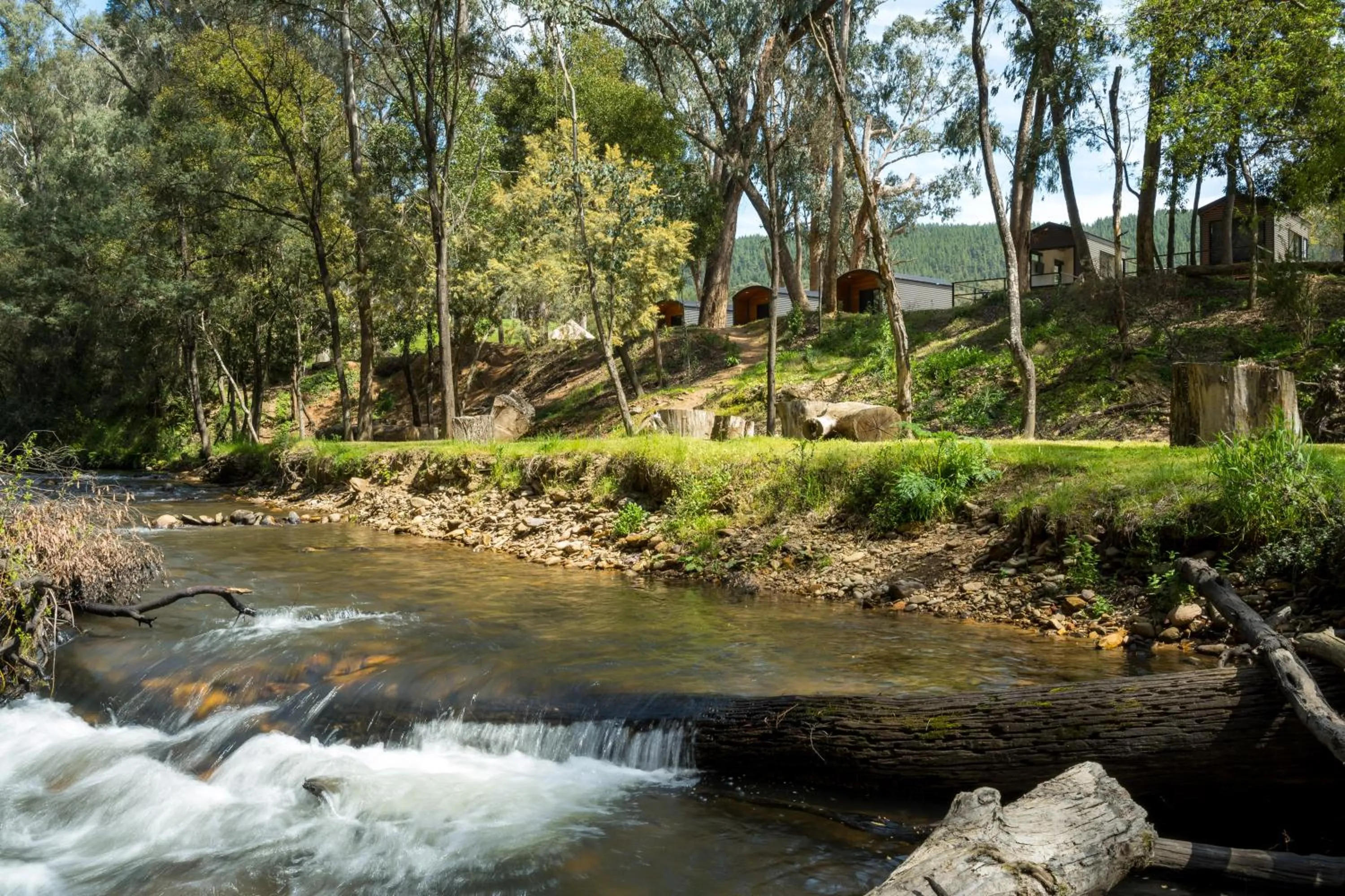 River view in Bright Cabin Park