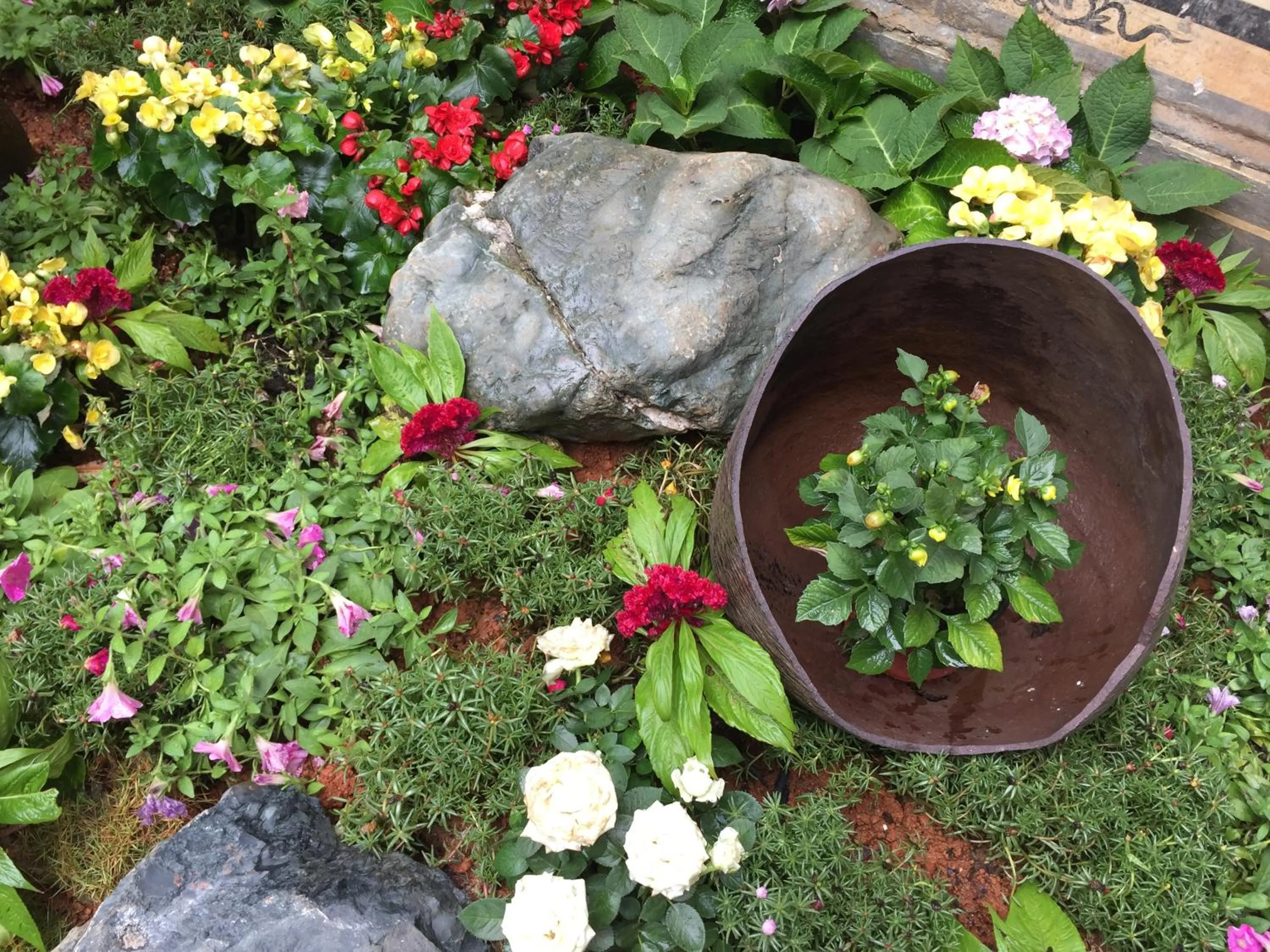 Garden in Old Story Inn Lijiang Old Town