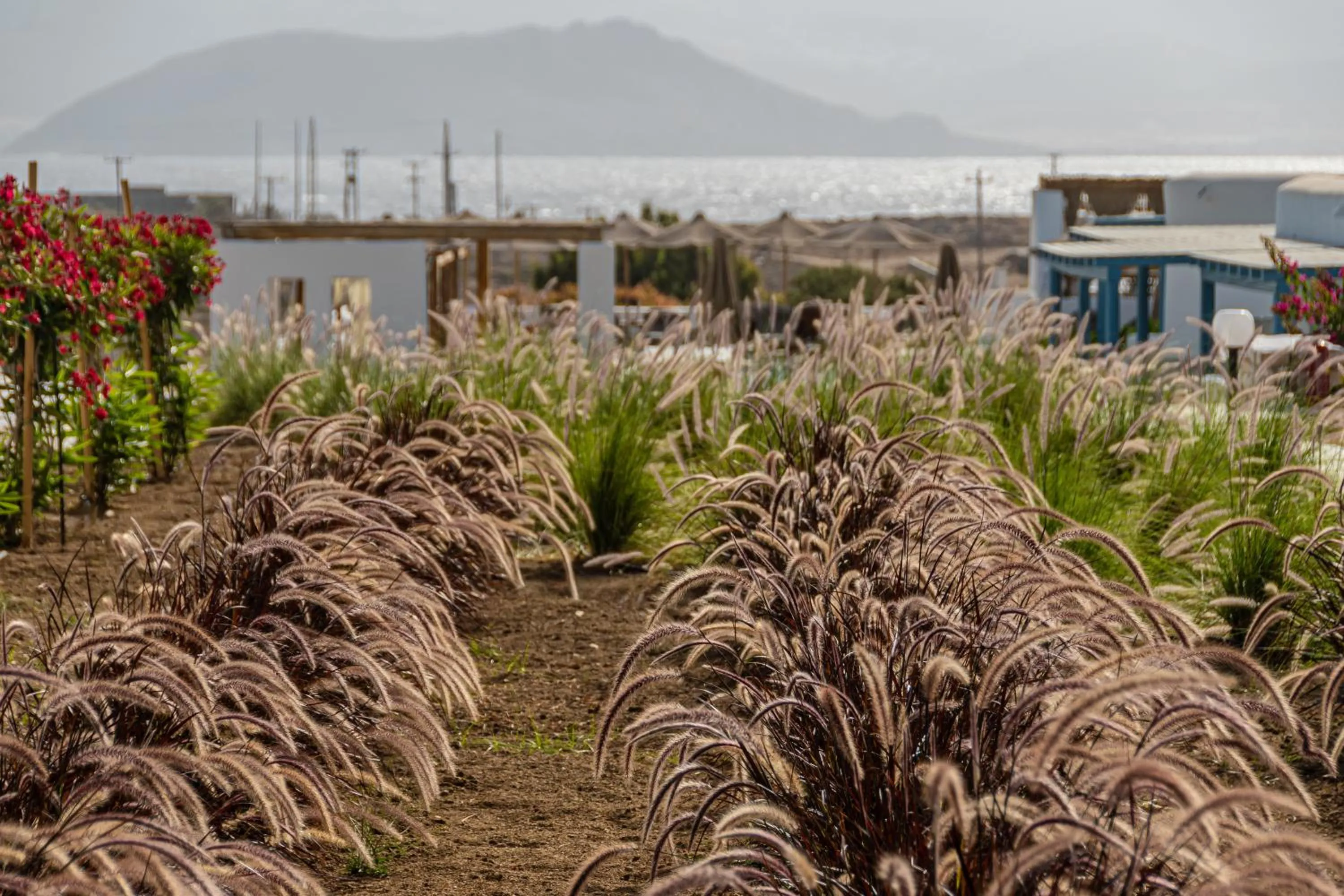 Garden in Lianos Village