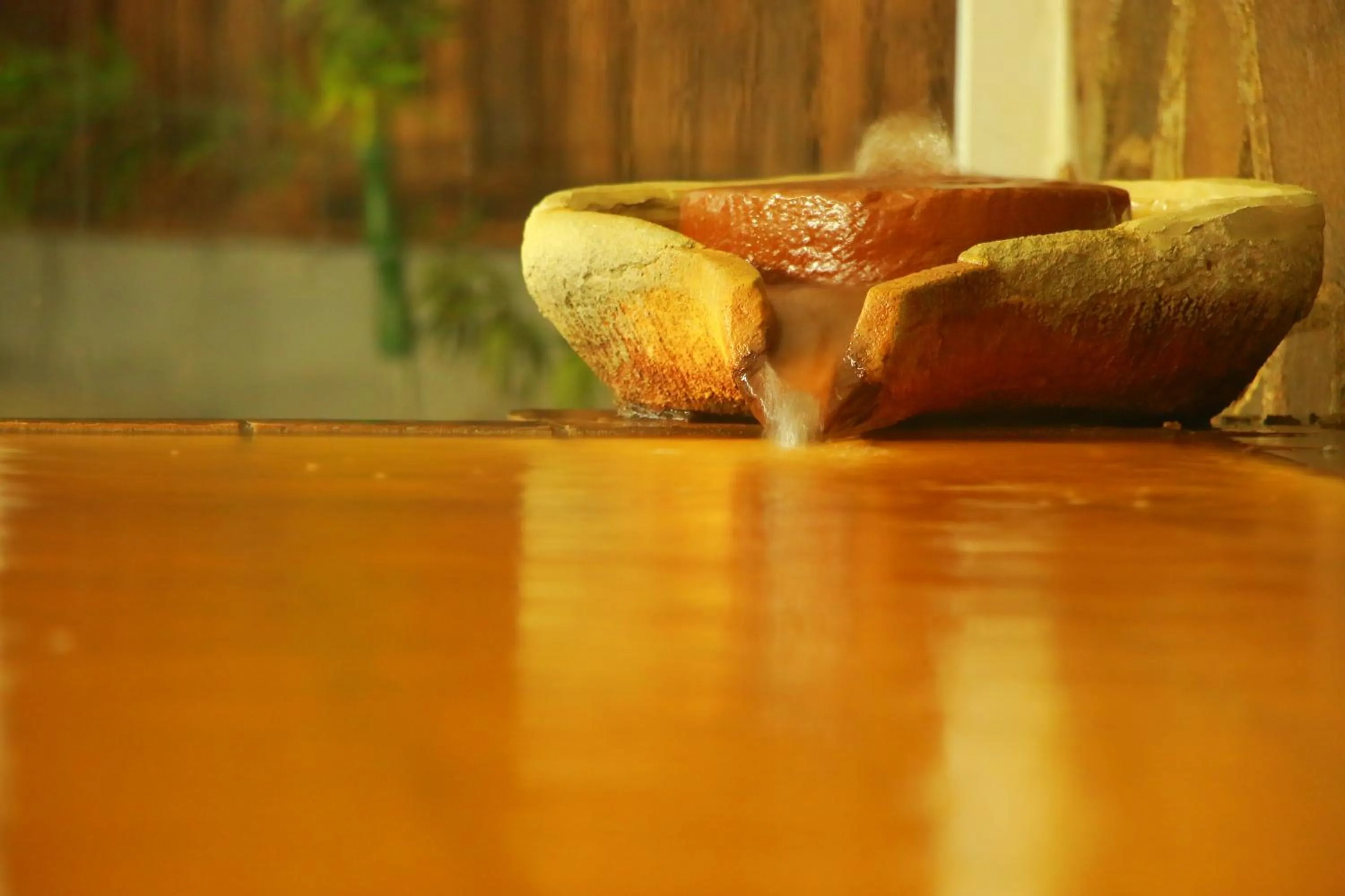 Hot Spring Bath in Yumoto Kobayashi