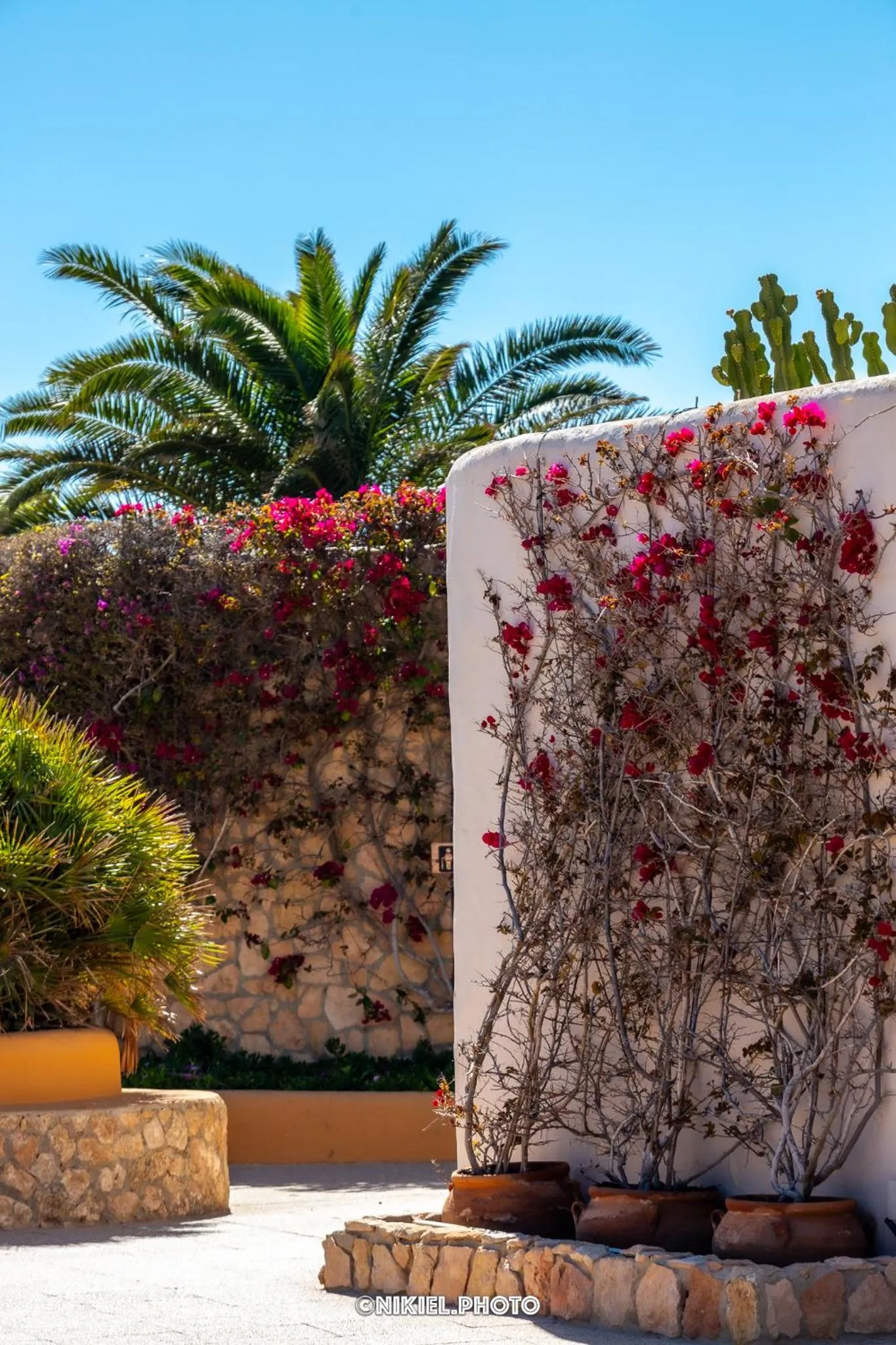 Garden in Hotel Club Sunway Punta Prima