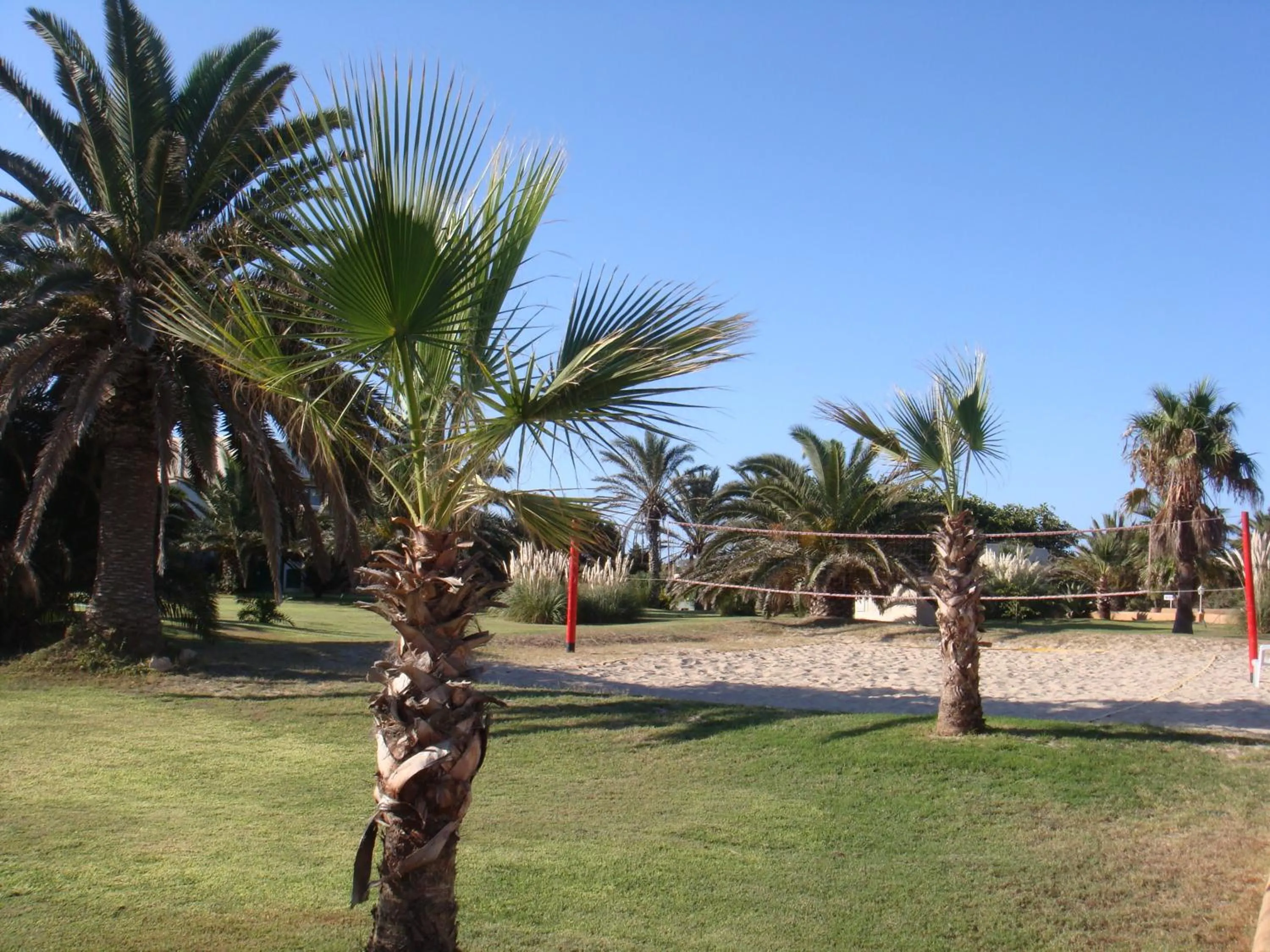 Garden in Hotel Club Sunway Punta Prima