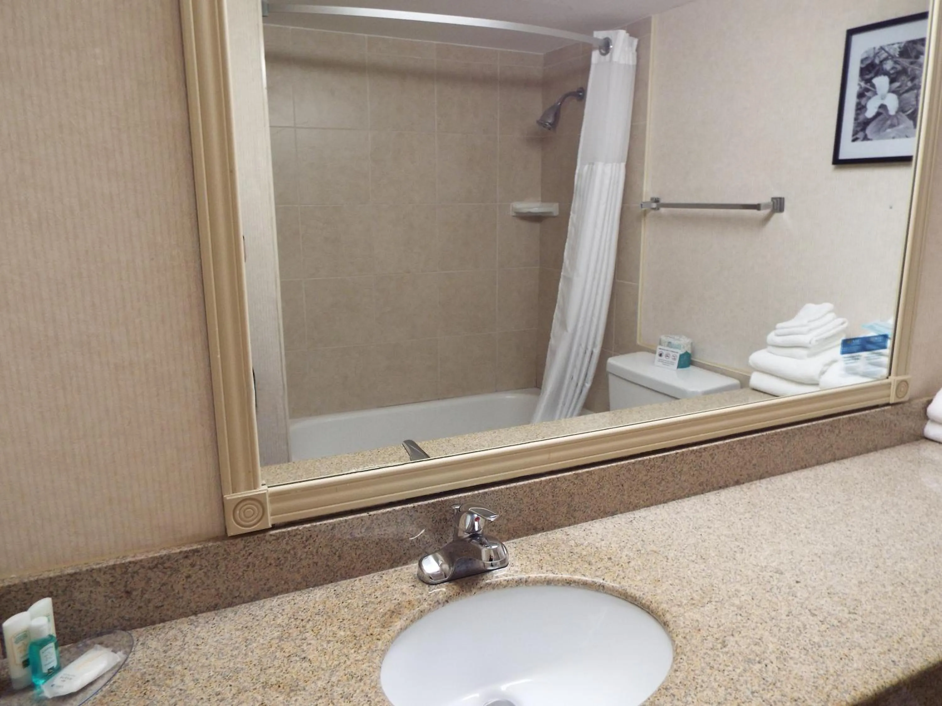 Toilet in Quality Inn