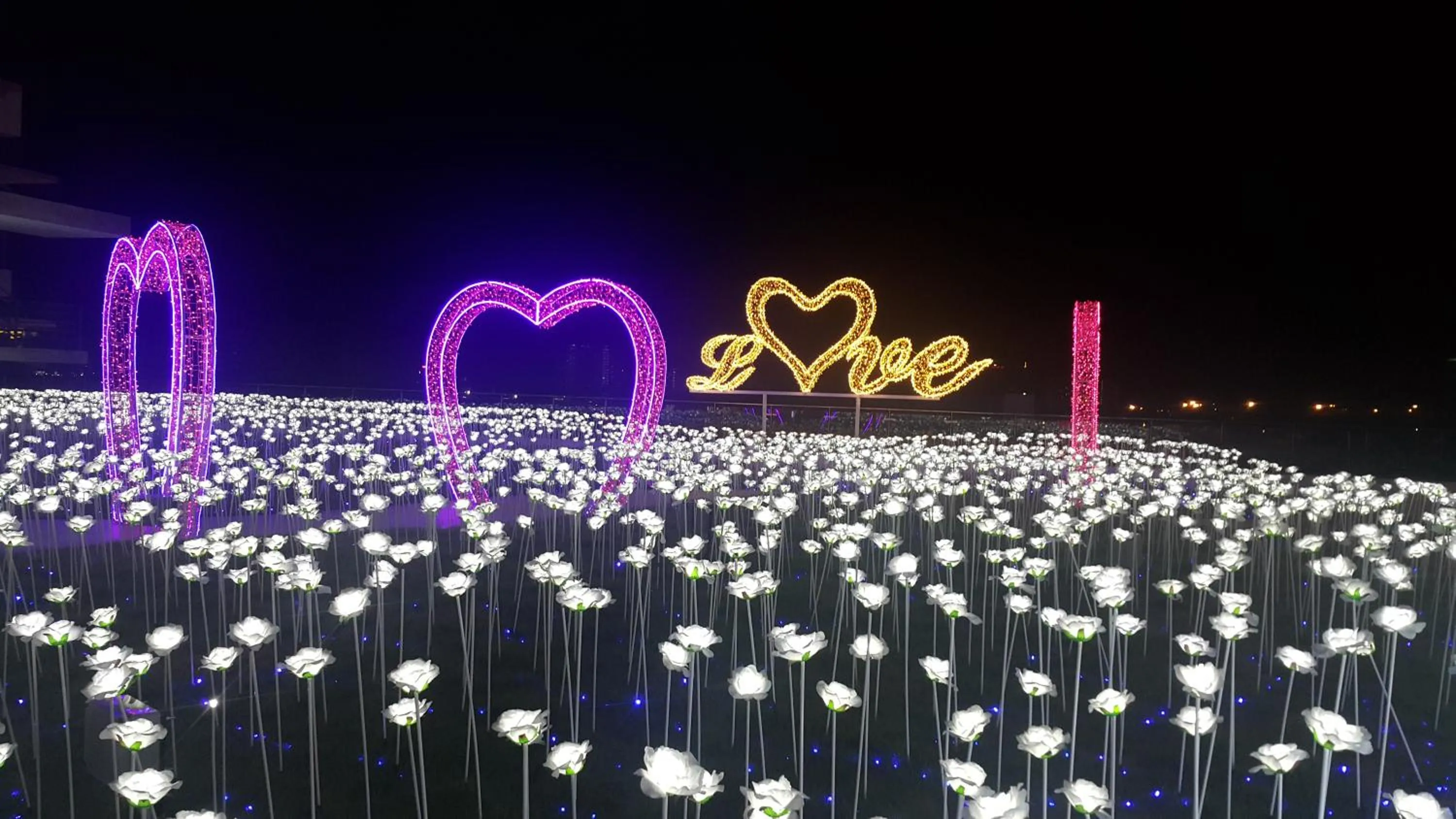 Activities in Host Assist Homestay by HA i-City