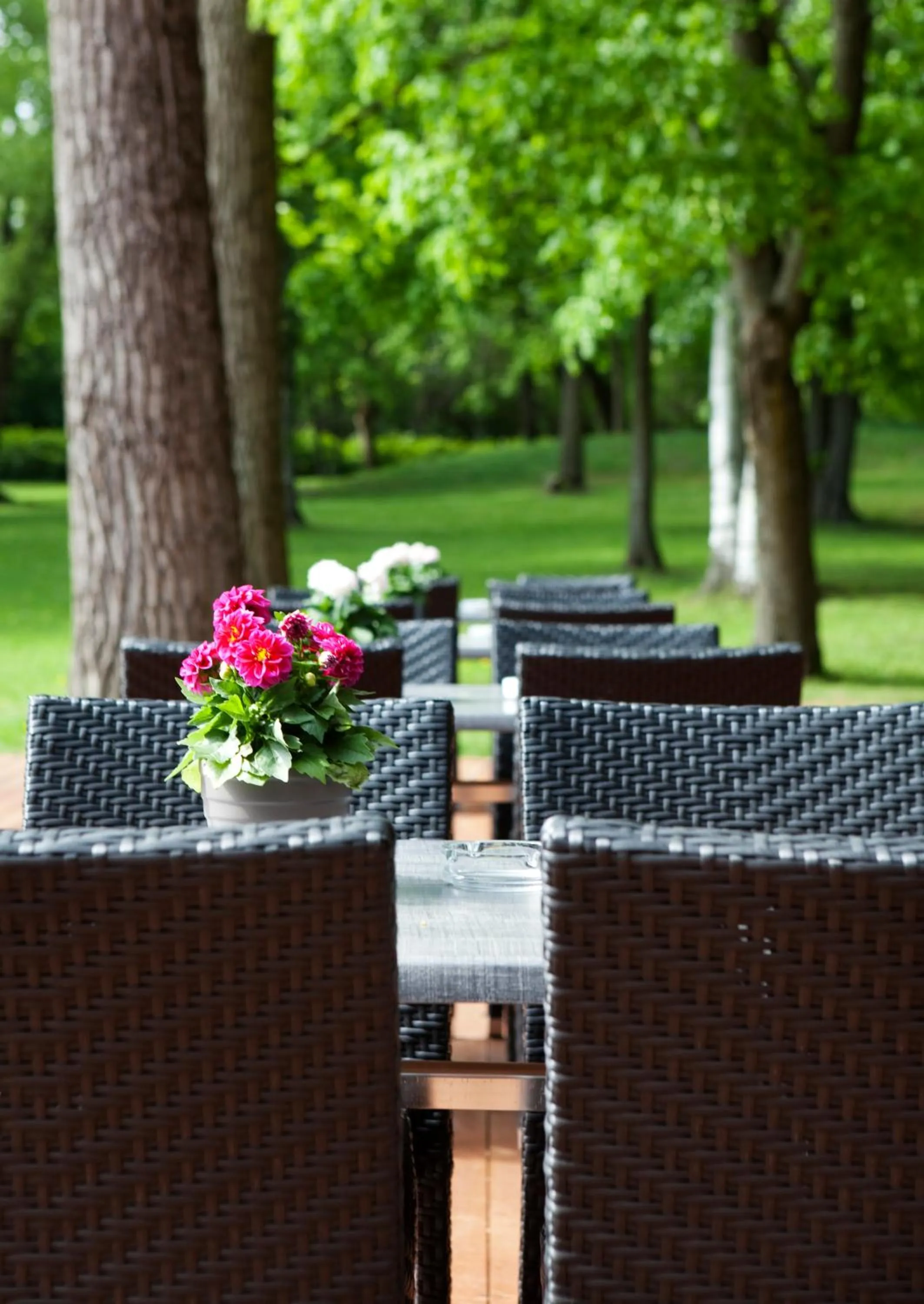 Balcony/Terrace in Radisson Blu Park Hotel, Oslo