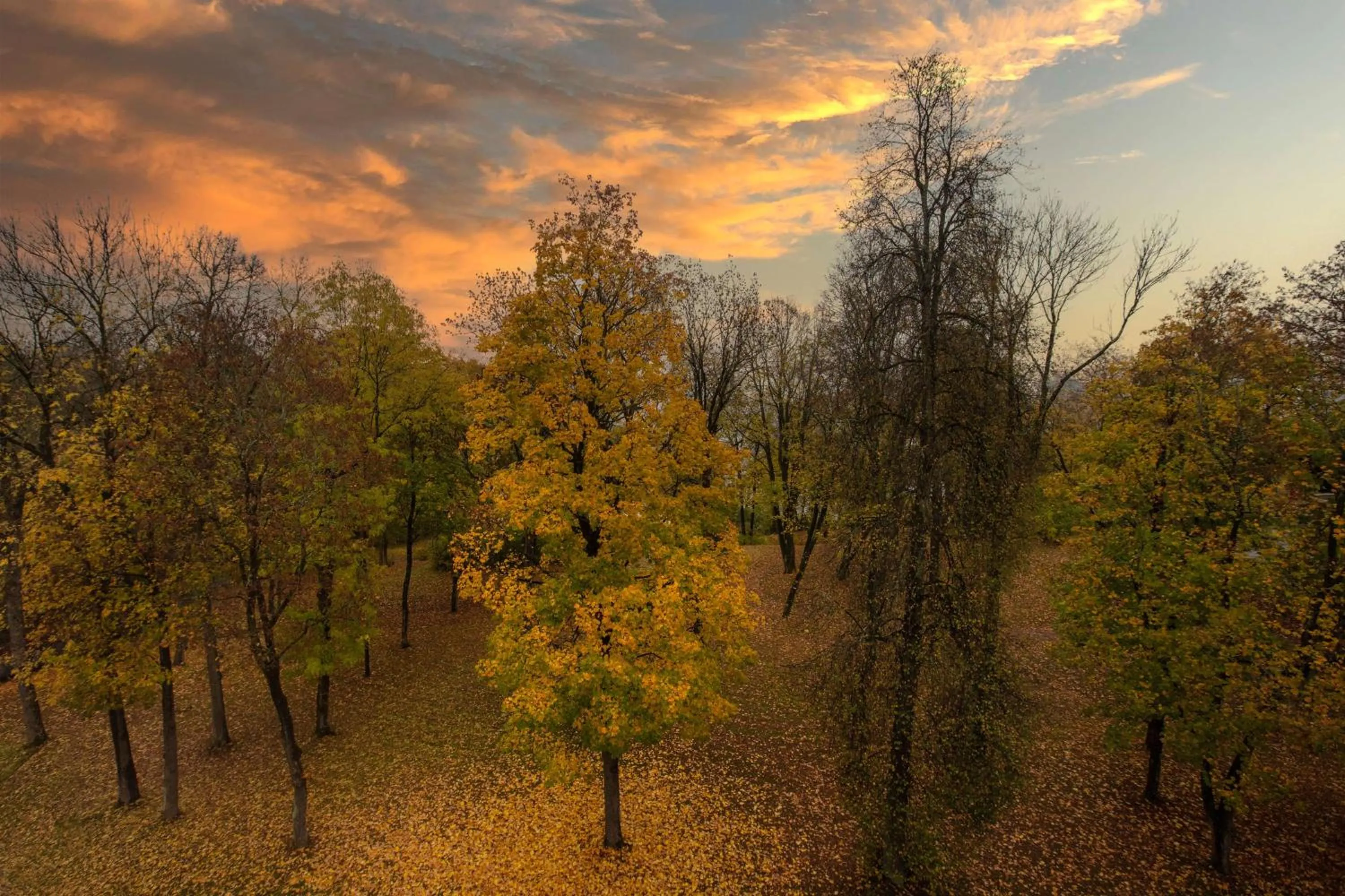 Day in Radisson Blu Park Hotel, Oslo