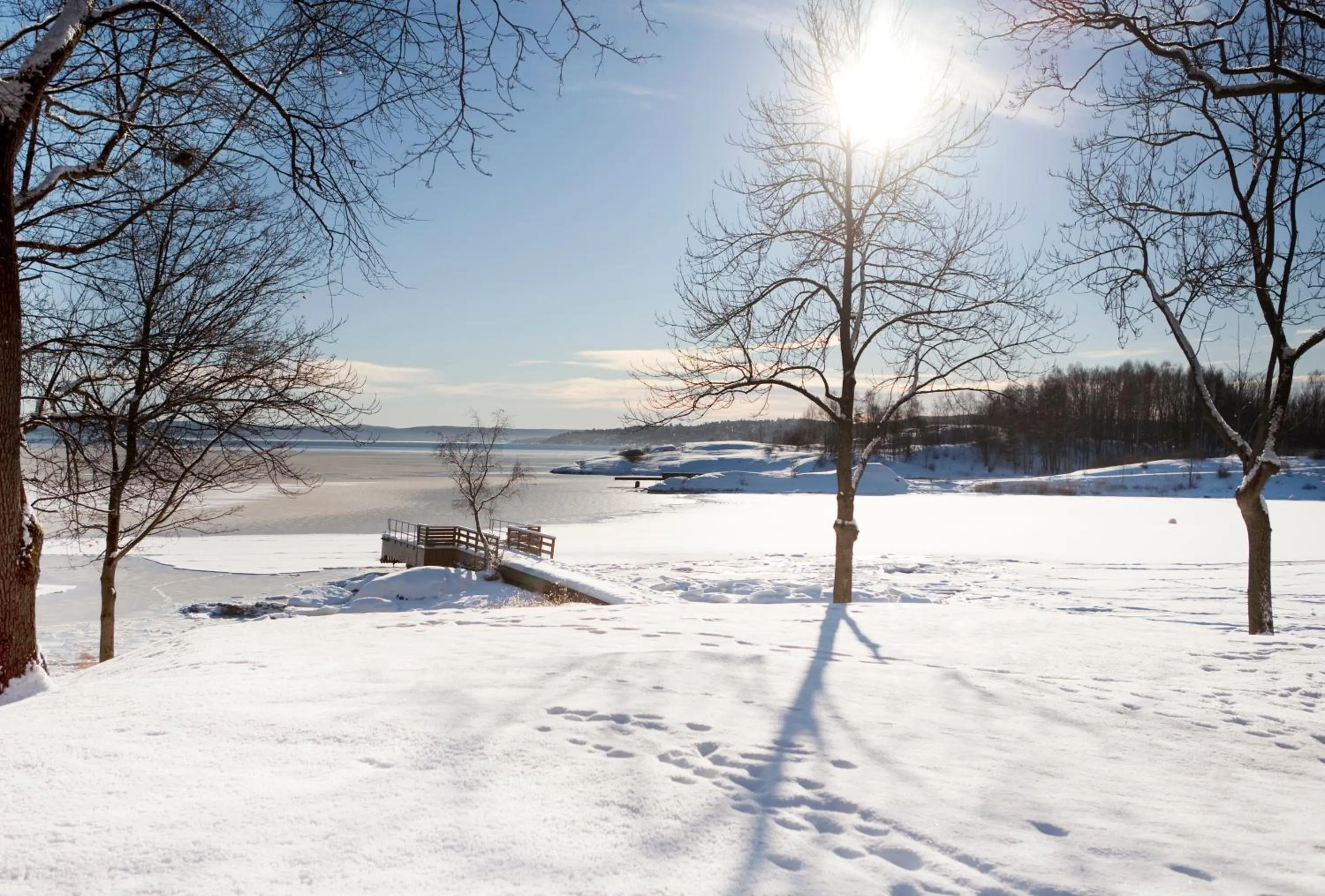 Winter in Radisson Blu Park Hotel, Oslo